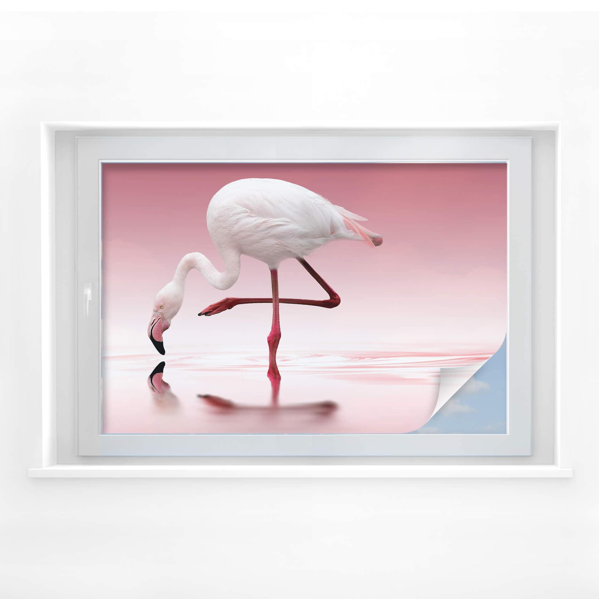 Sichtschutz Reindl - Pink Flamingo