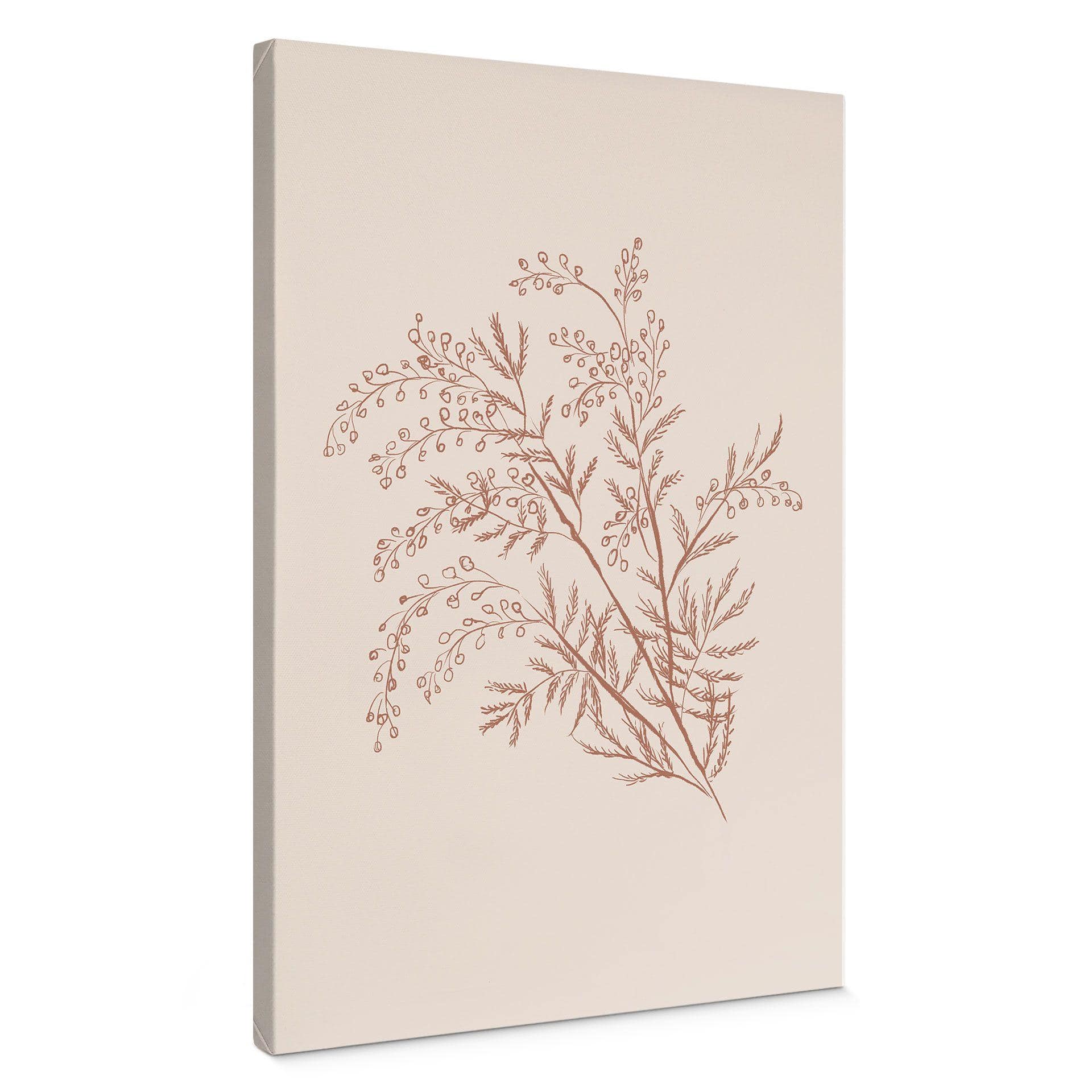 Canvasbillede Gren af akacie i mokkafarver - Anis-illustration