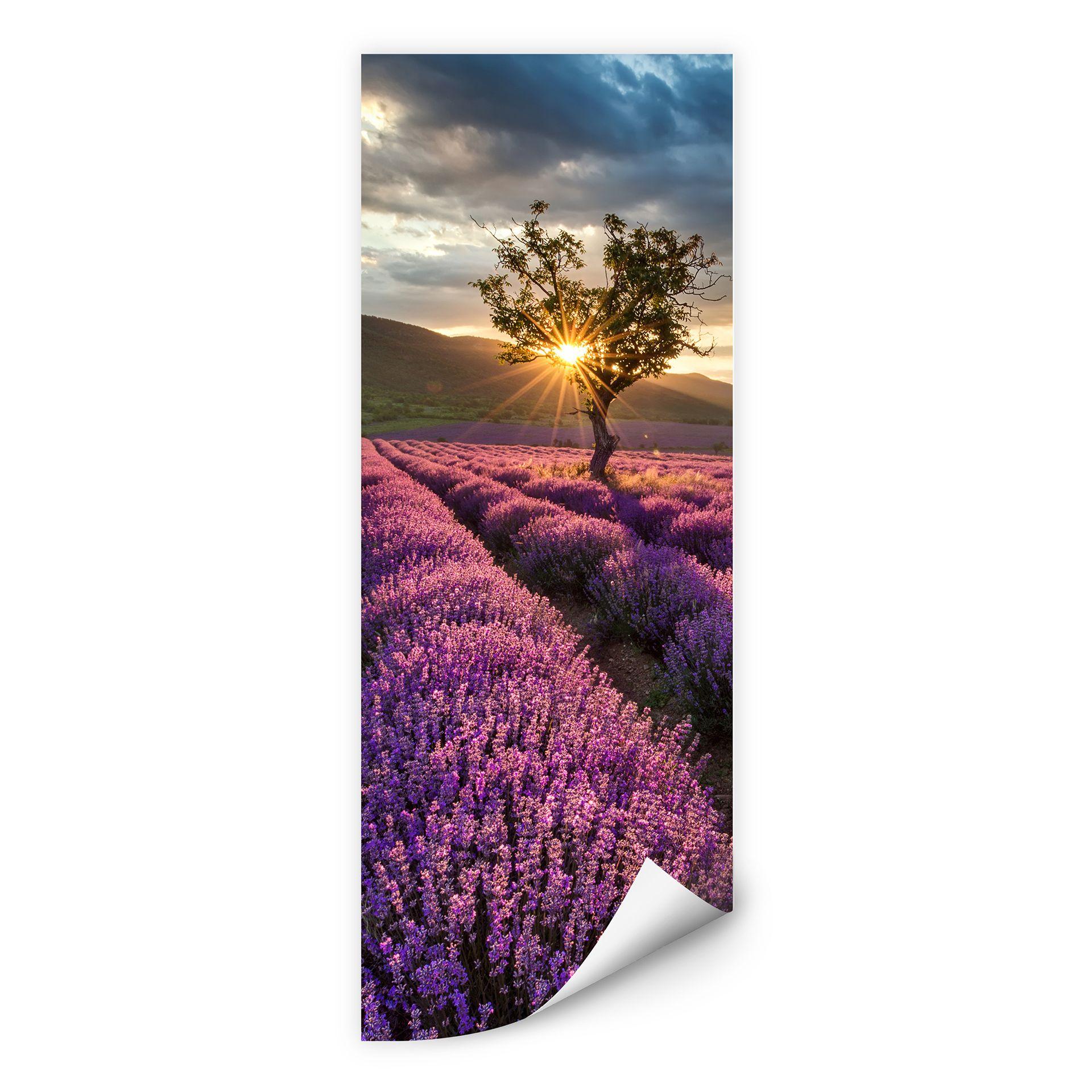 Zelfklevende Poster - Lavendel in de Provence