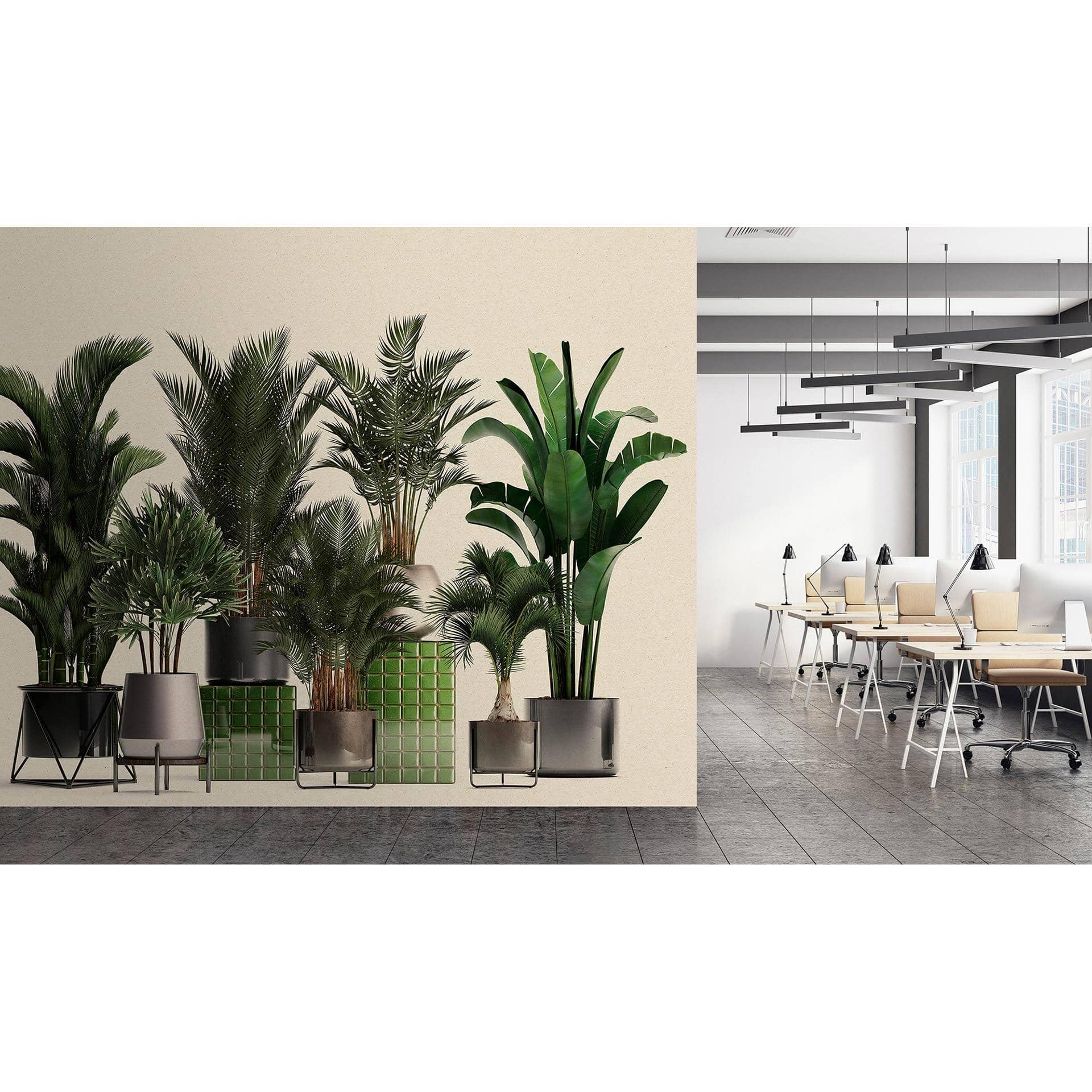 Fotomural Paredes de Patel 3 Plant Shop 1 verde, beige, gris, negro