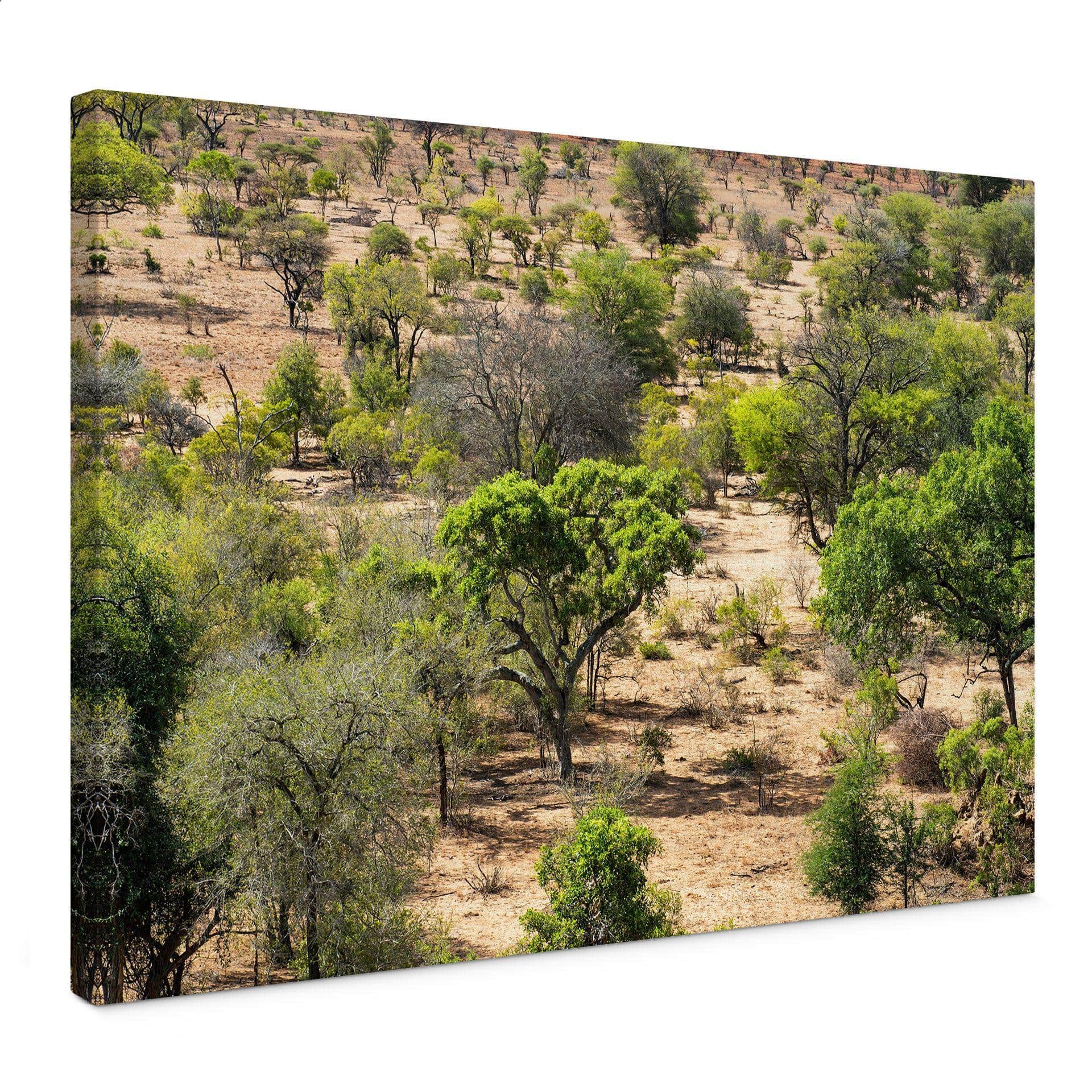 Lienzo Paisaje de sabana en África - Hugonnard
