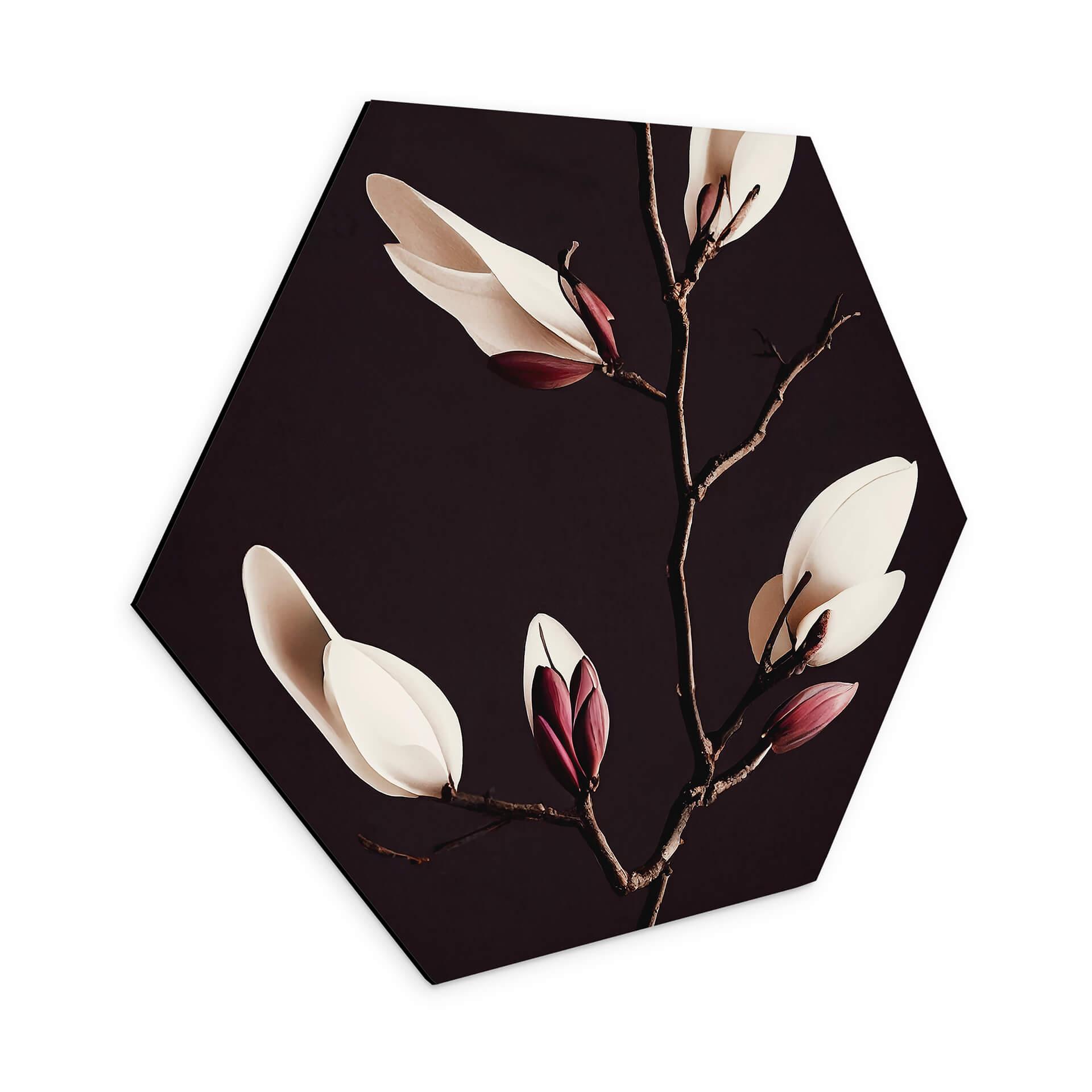 Hexagon Dibond Treechild - Magnolia Blossoms