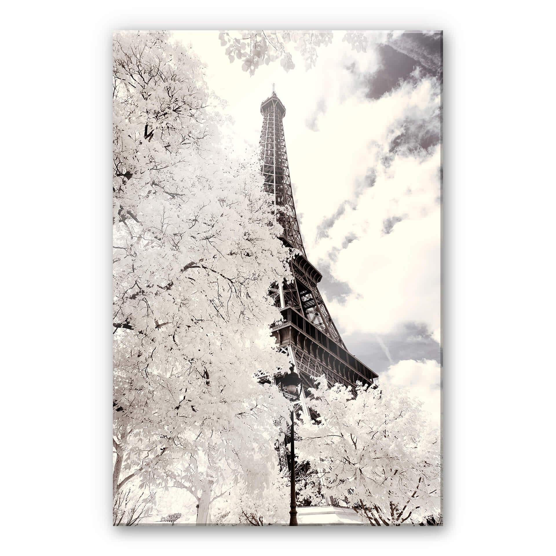 Akrylbillede Hugonnard - Hvid Paris