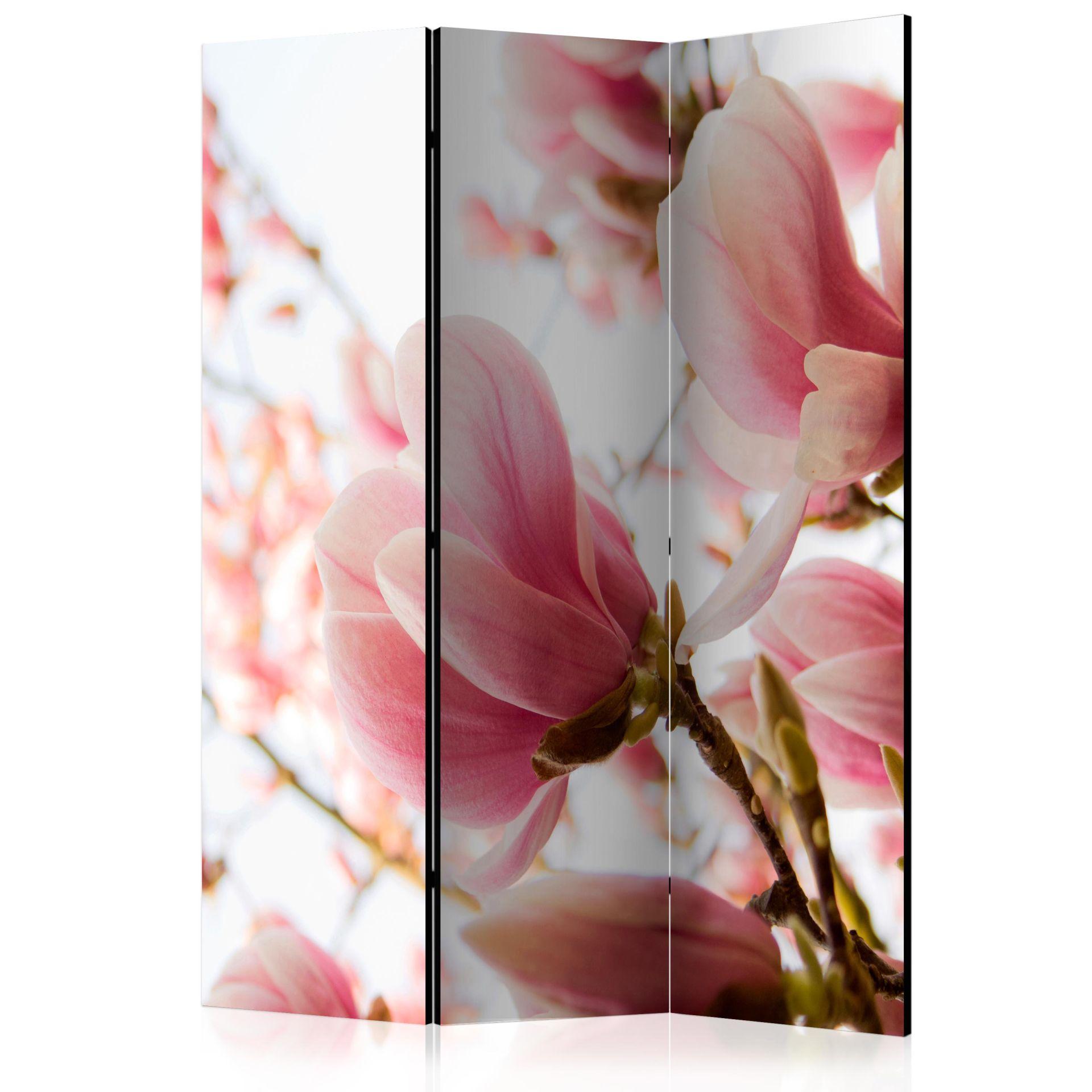 Skærmvæg - Lyserød magnolie, 3-delt