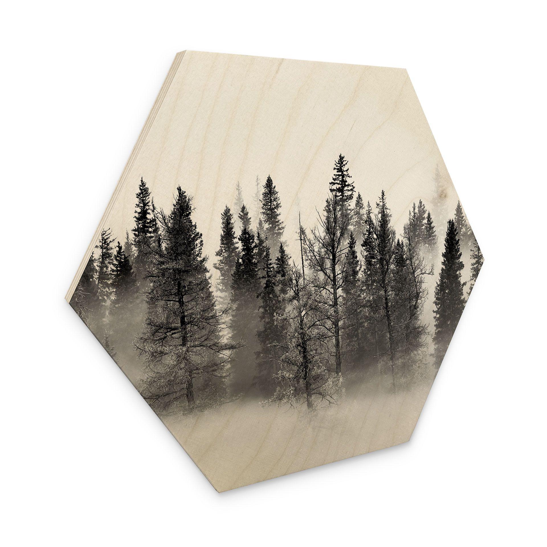 Hexagon Hout Xu - Foggy Forest