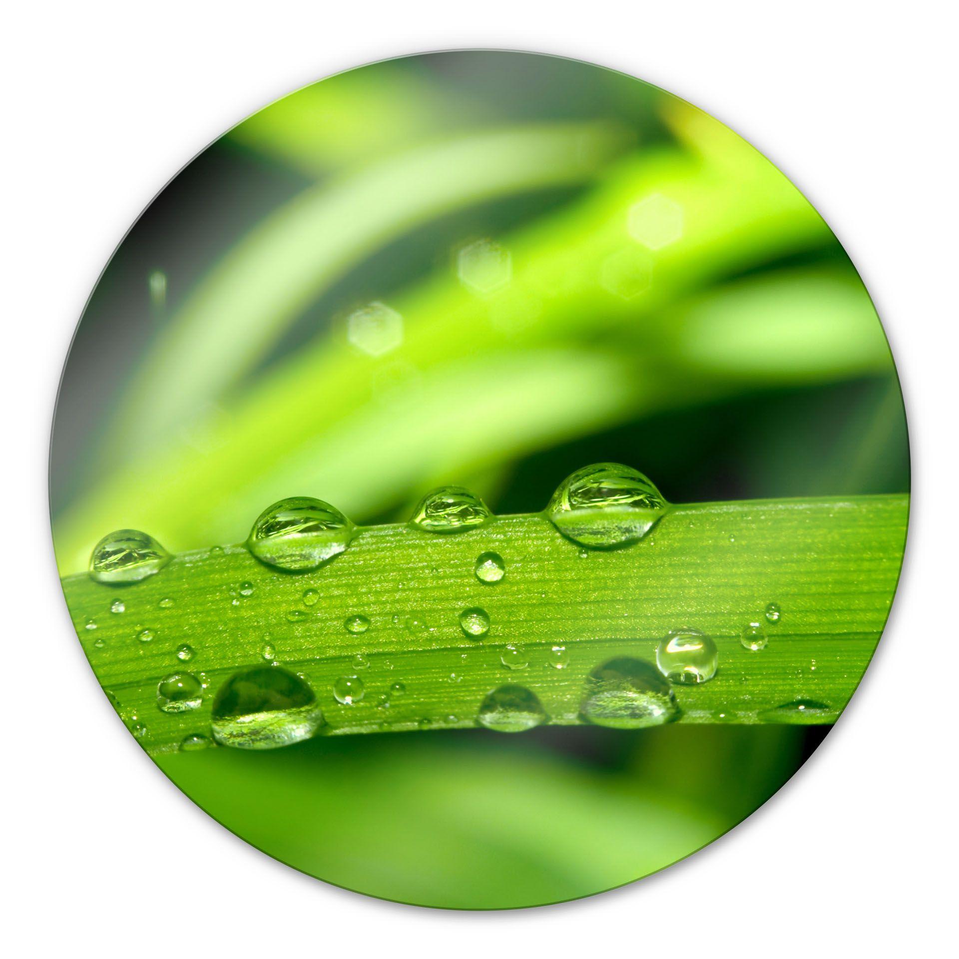 Glasbillede - Natur 5 - Rund