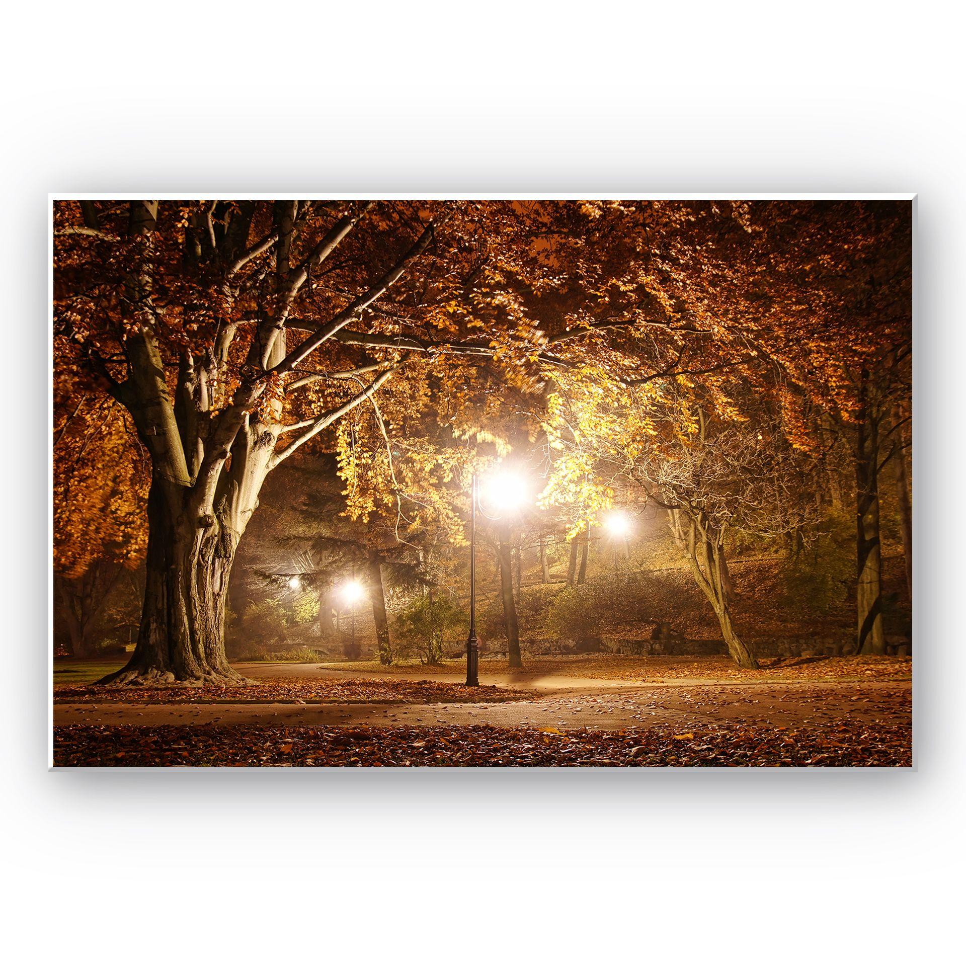 Tableau Forex - Automne au parc