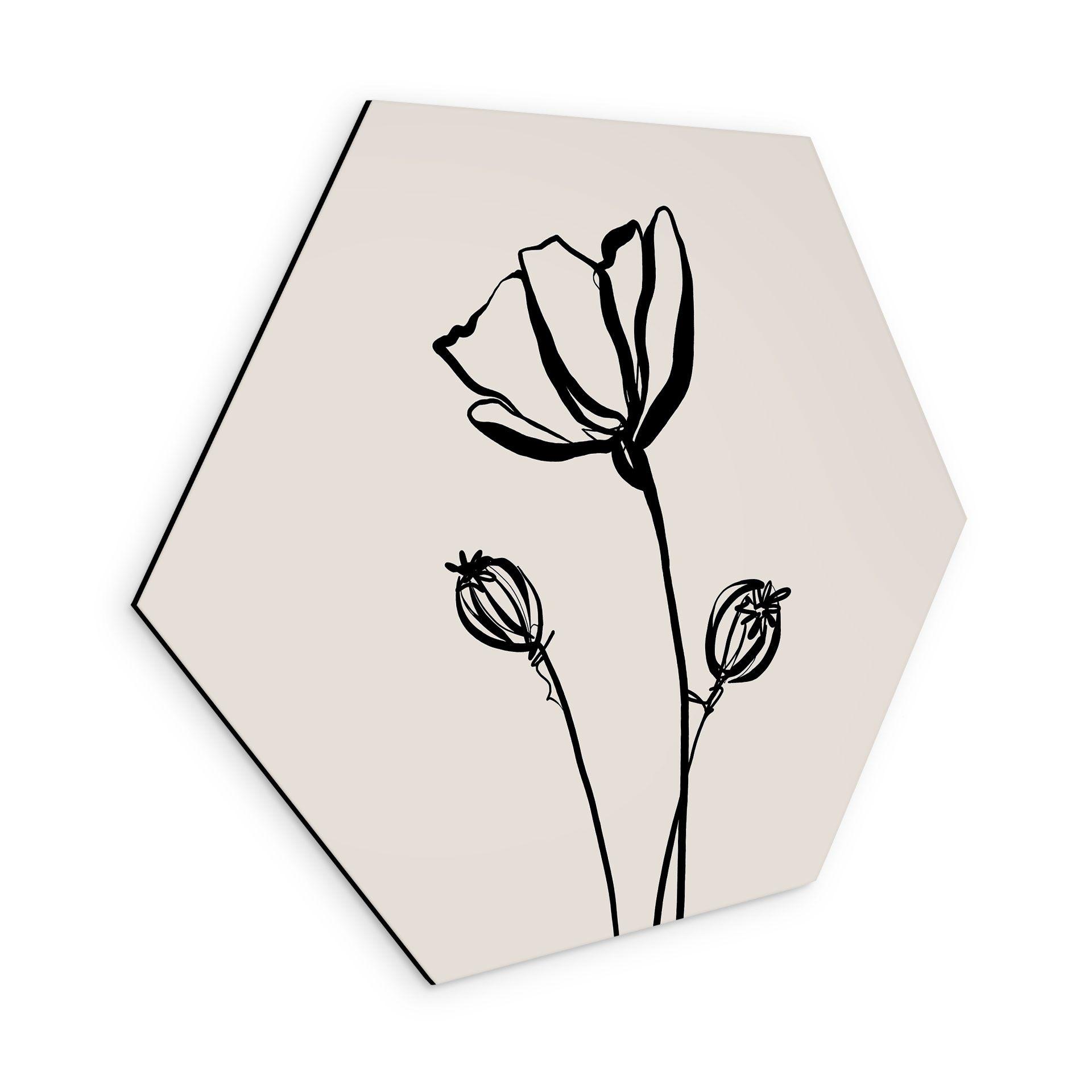 Sekskantet Billede Line Art Poppy - Cats & Dotz - aluminium dibond