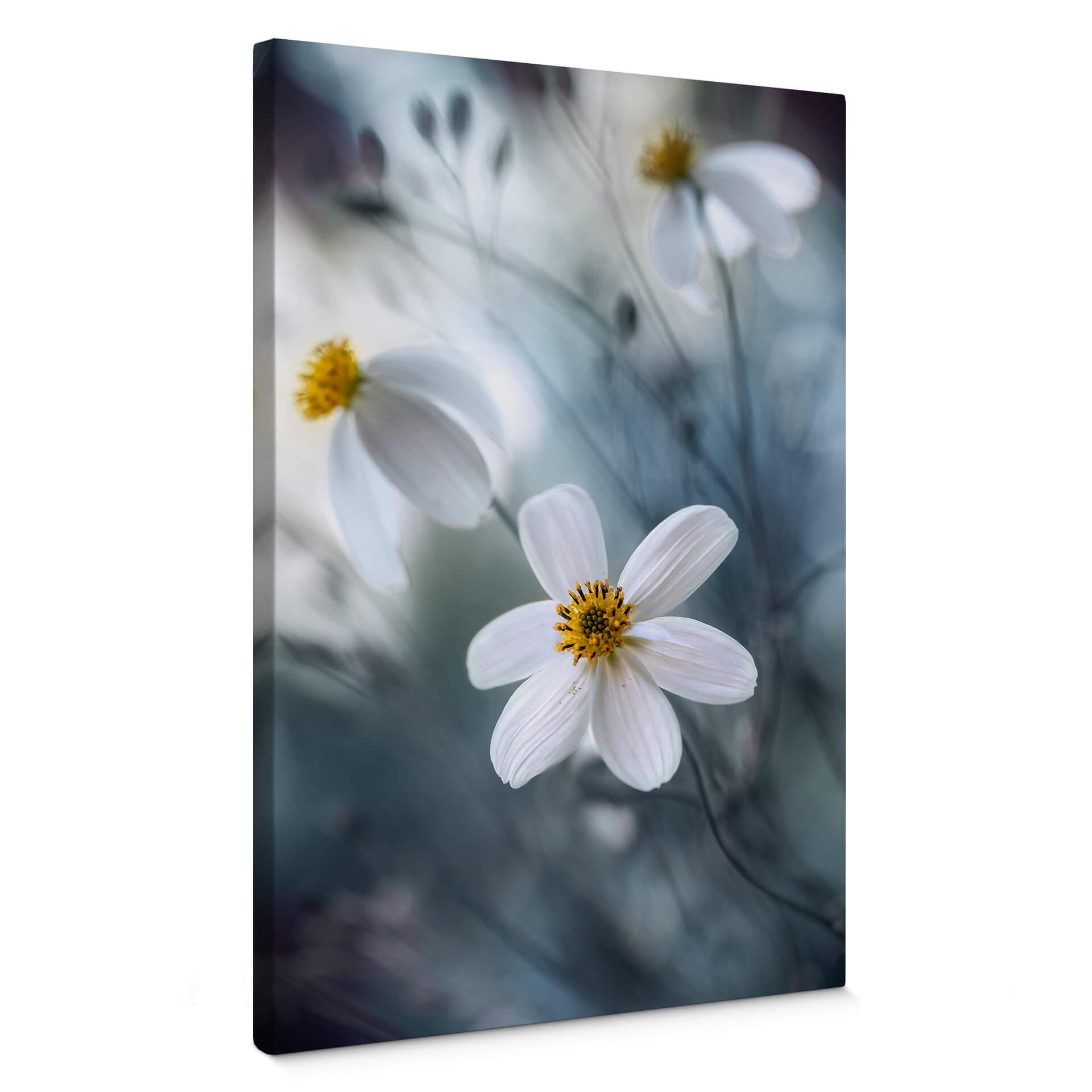 Lienzo Disher - La flor blanca