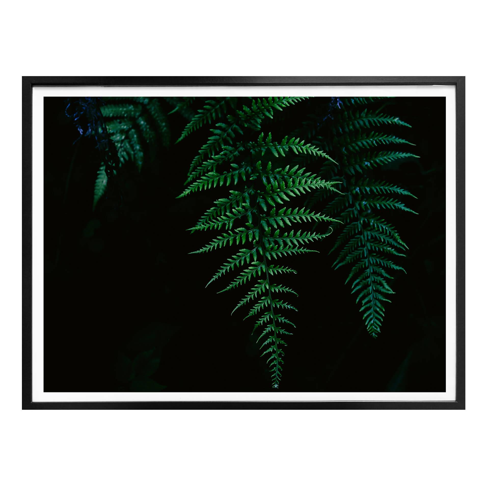 Plakat - Bregne 03