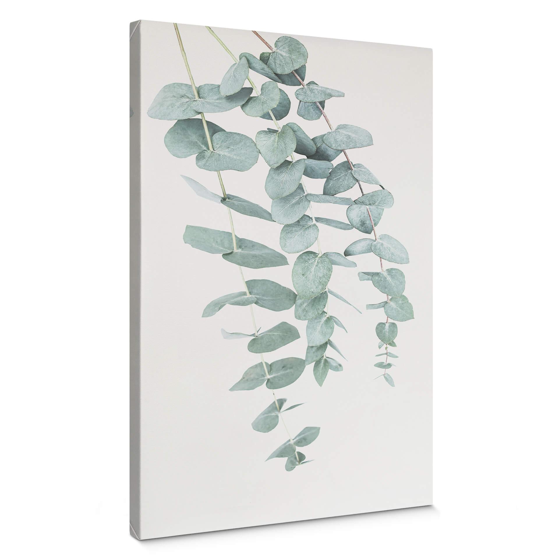 Canvasbillede - Sisi & Seb - Eukalyptus: flere grene