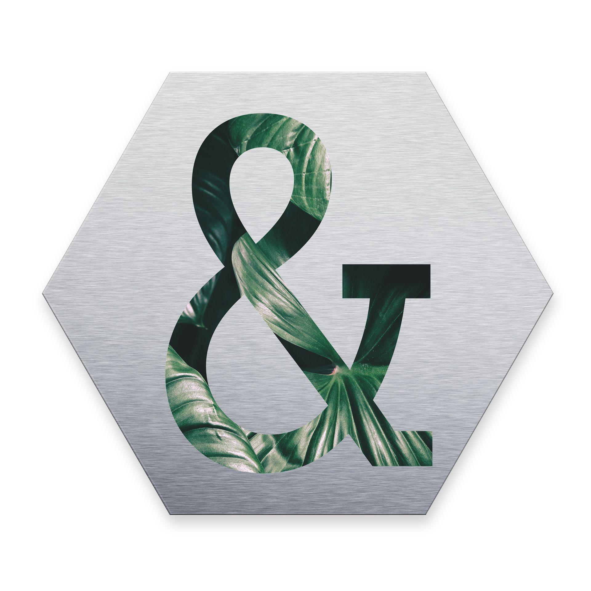 Hexagon bogstaver - Alu-dibond Sølv, Jungle "&"