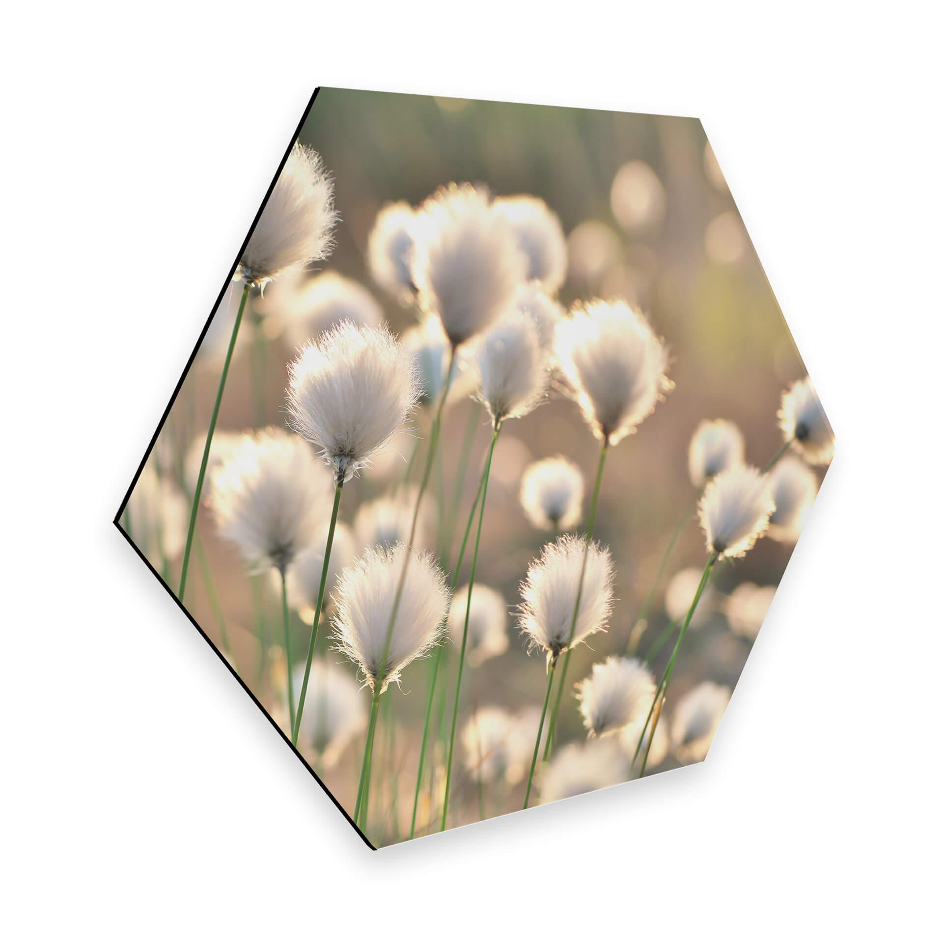 Hexagon - Alu-Dibond Delgado - Flower Magic