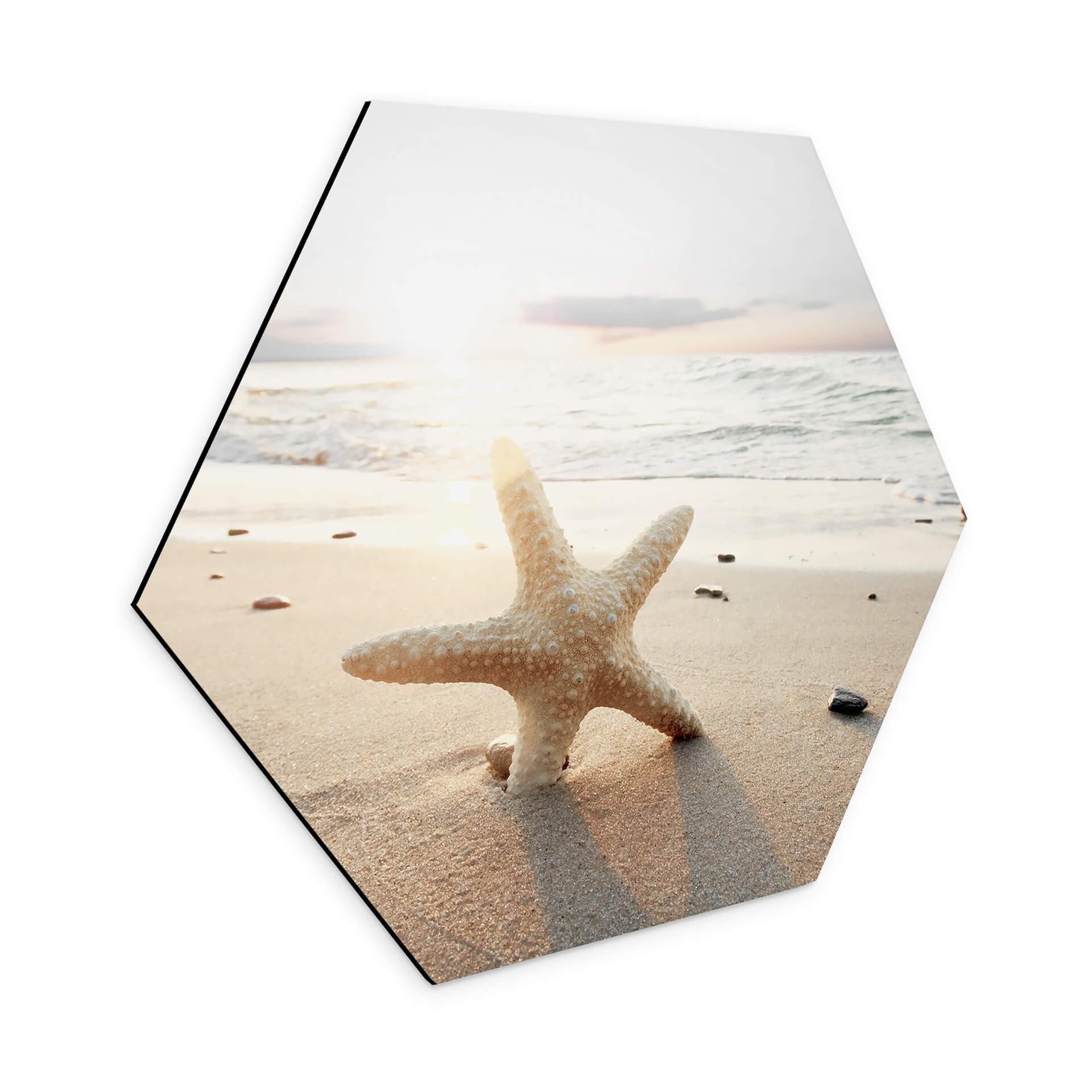 Hexagone - alu-Dibond Une étoile de mer étincelante sur une plage déserte