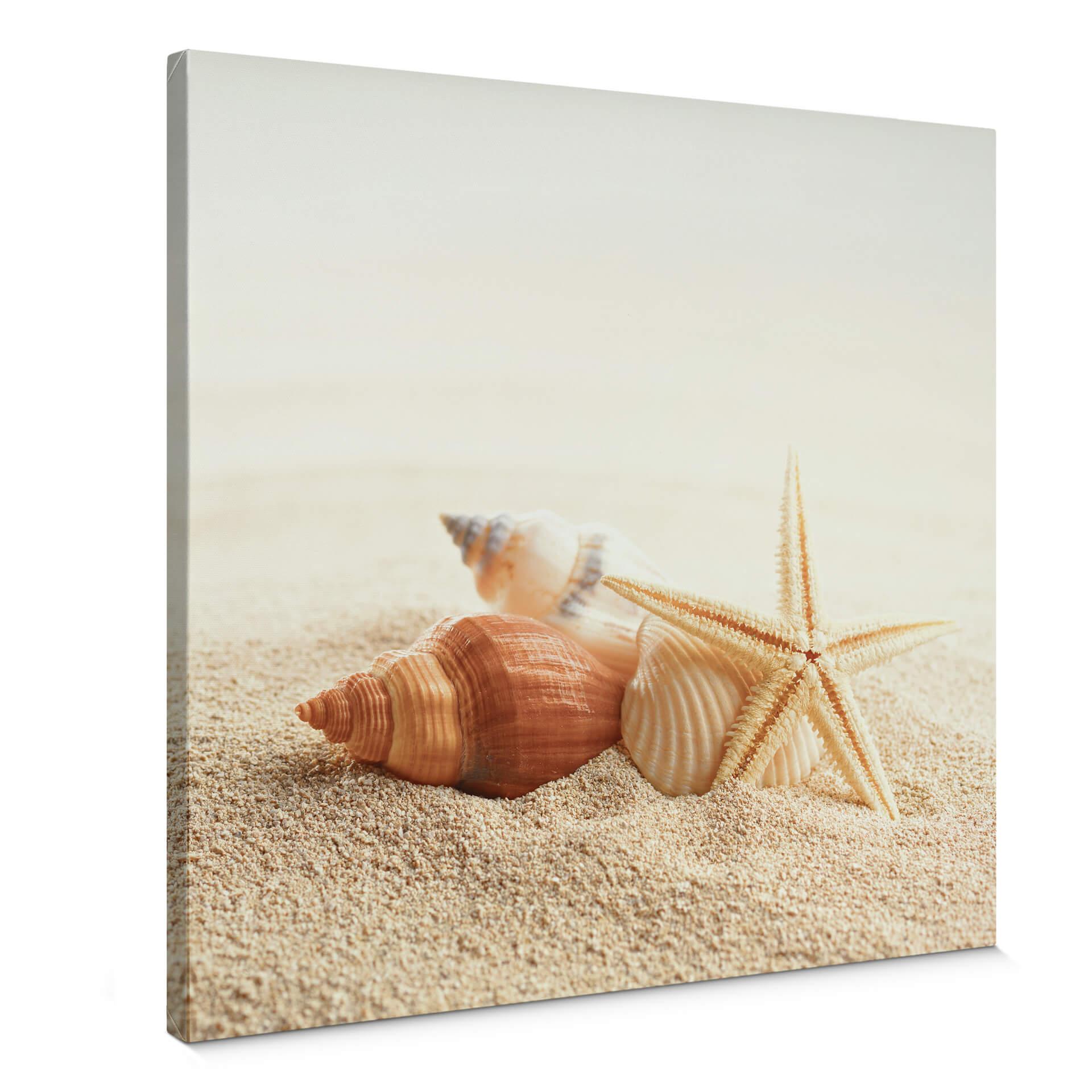 Lienzo estrella de mar y conchas - Cuadrado