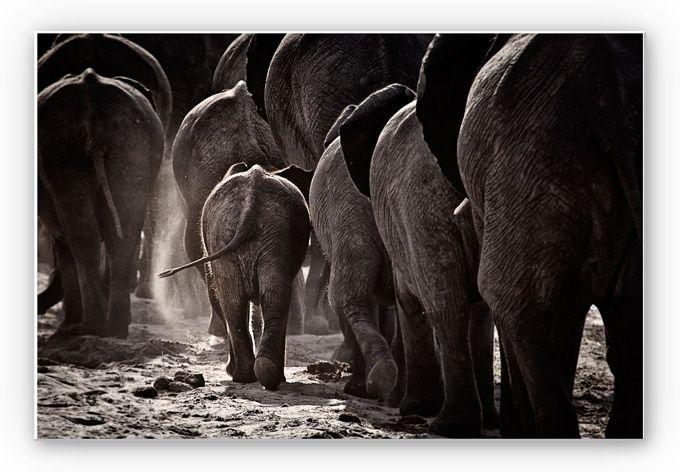 Wanddecoratie McRae – Walking Home