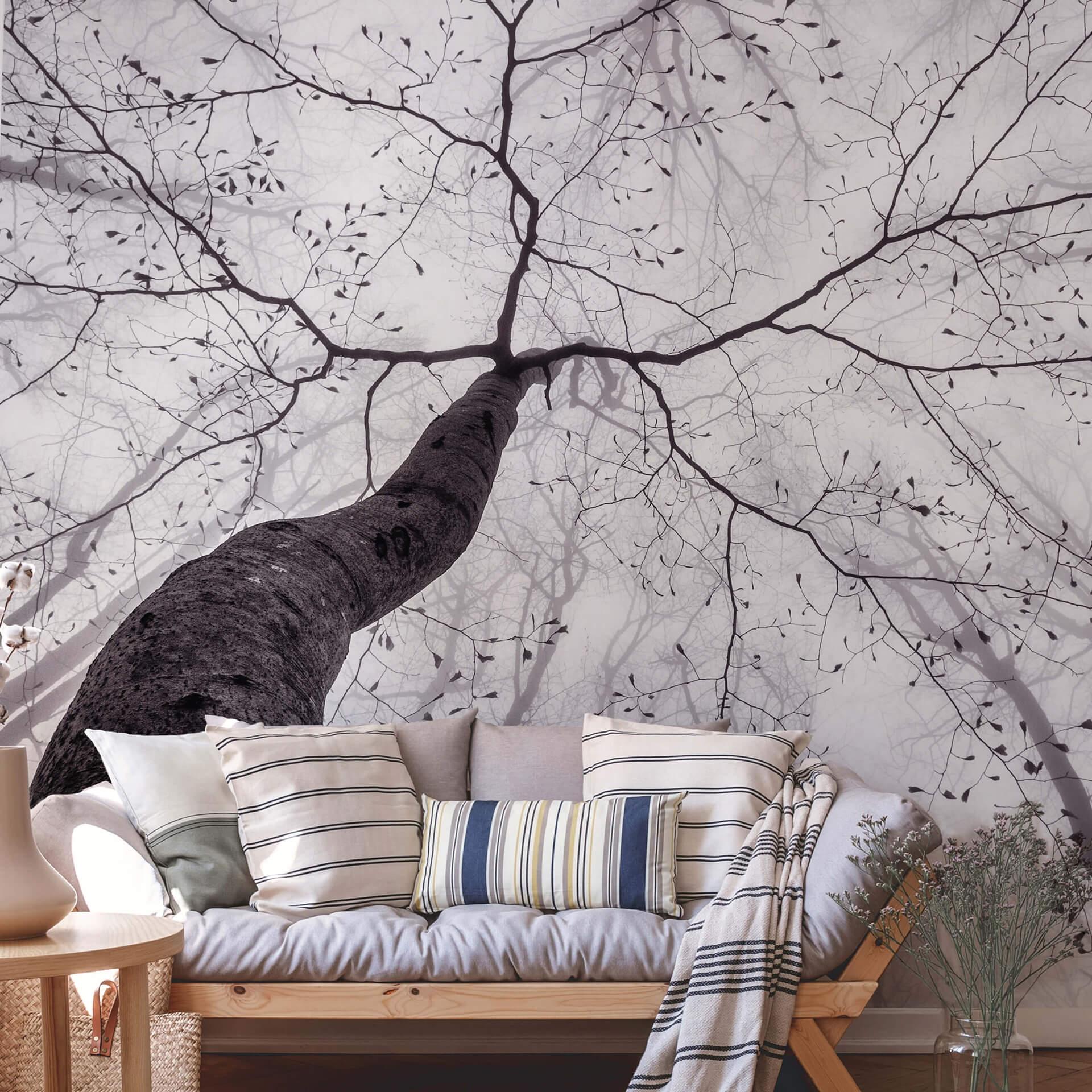 Fotobehang Papierbehang Pavlasek - Blik in de Bomen - 366x254 cm