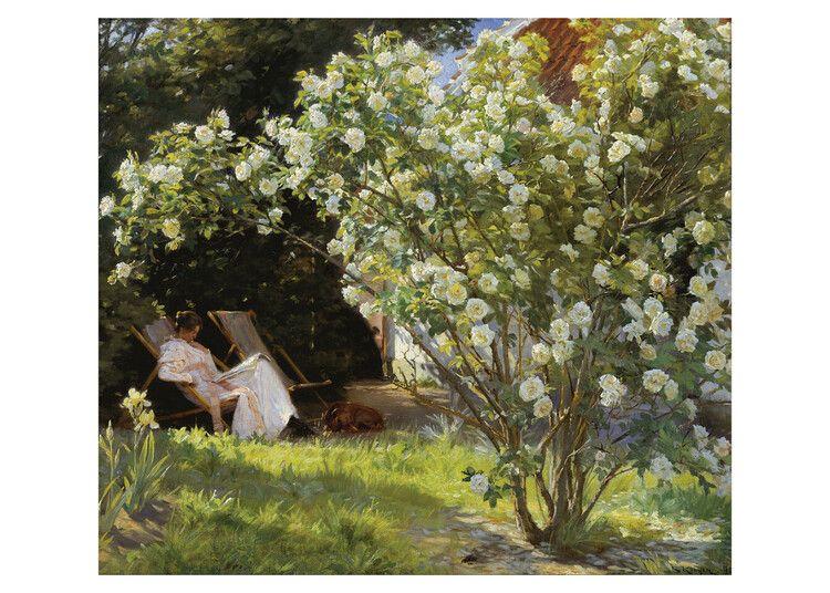 Plakat Marie in the Garden (The Roses) Kunsttryk, Peder Severin Kroyer (50 x 40 cm)