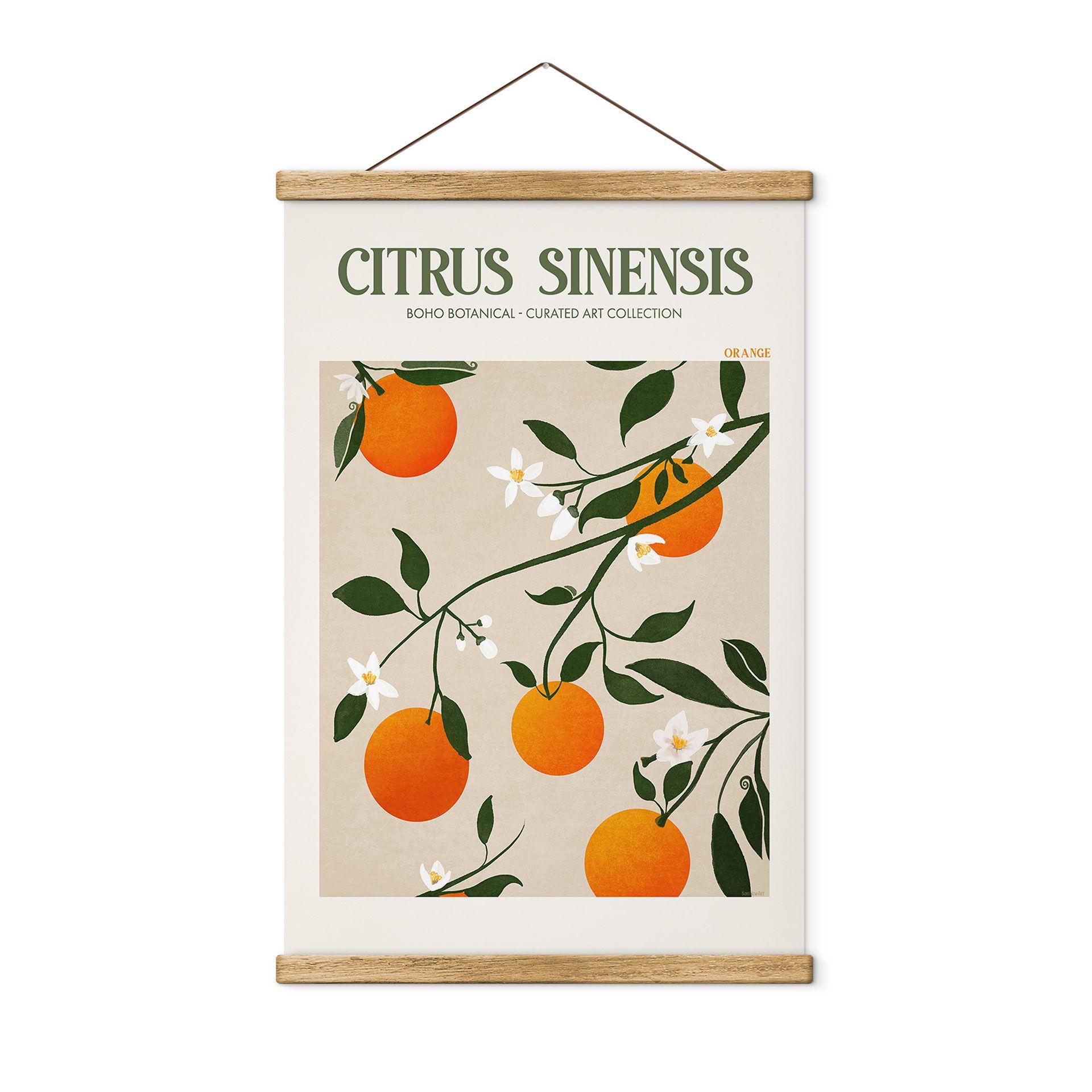 Tekstil plakat Boho-appelsintræ - Citrus Sinensis - Tunaboylu