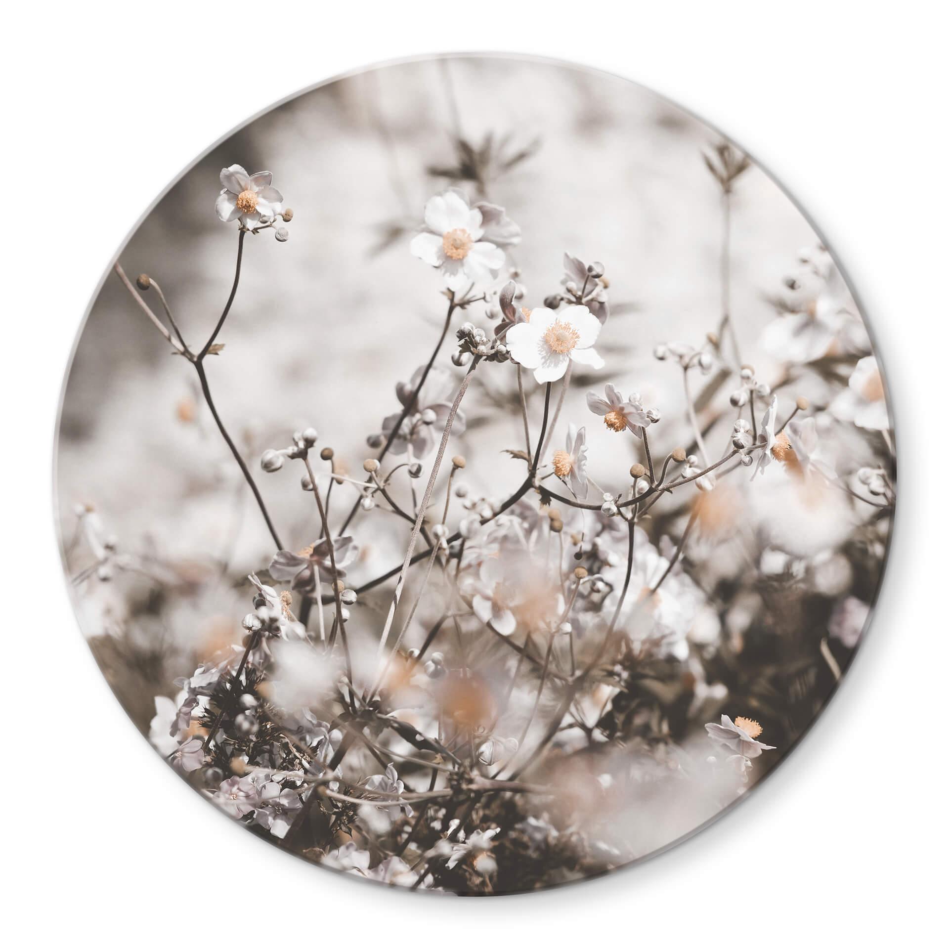 Tableau sur verre Annie - Fleurs sauvages - Rond