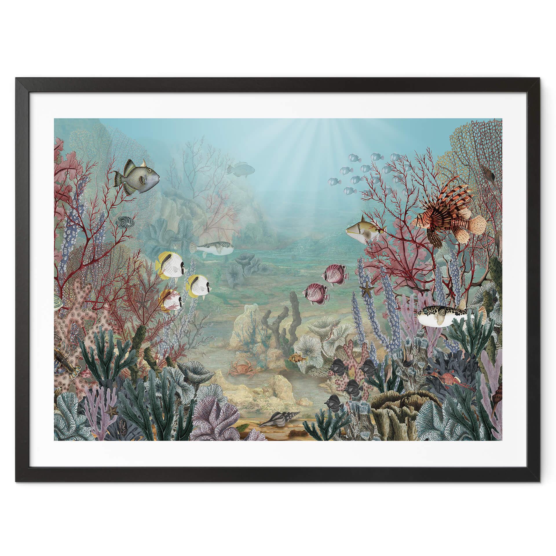 Póster Sir Edward - Habitante del coral