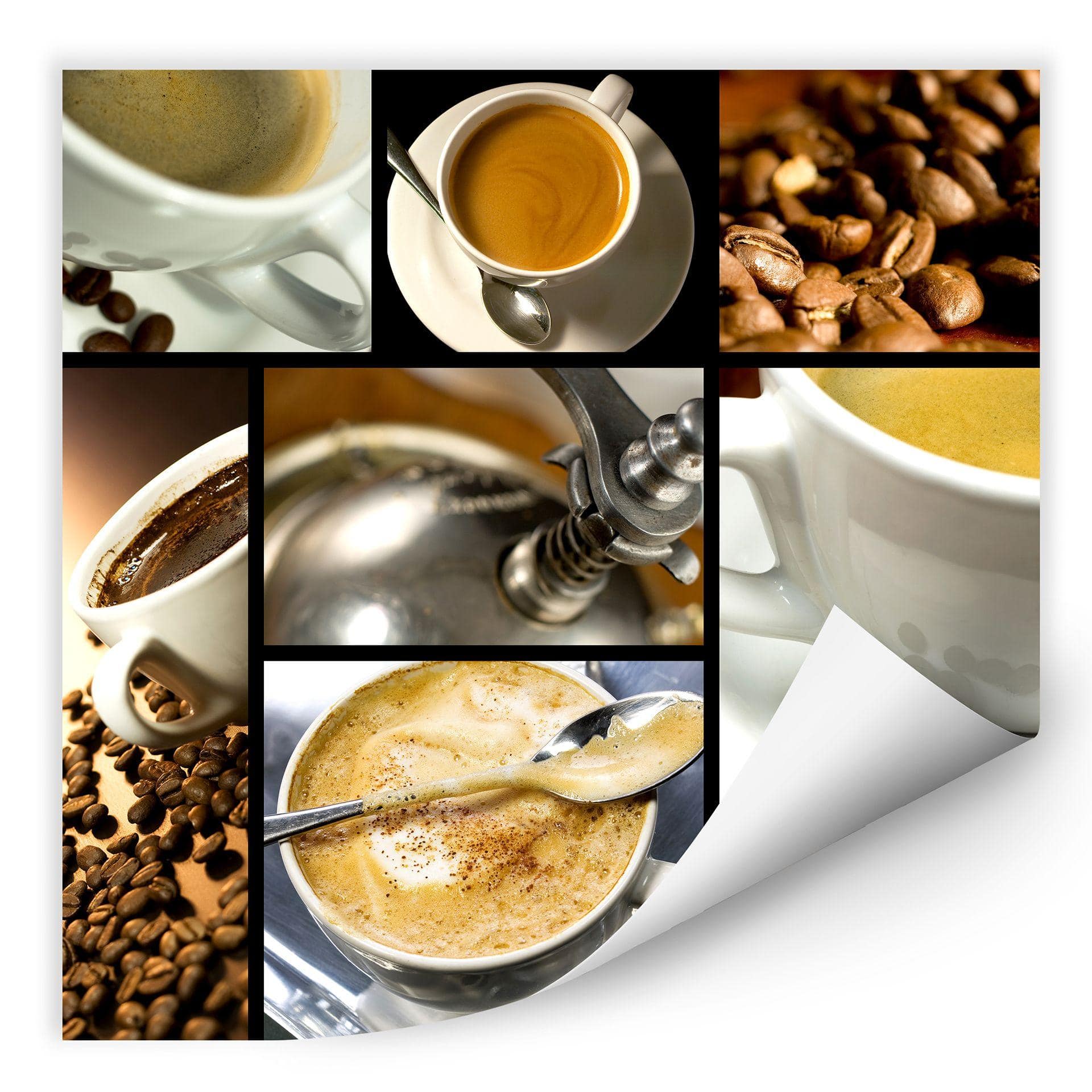 Poster autocollant - W - Variété de Café