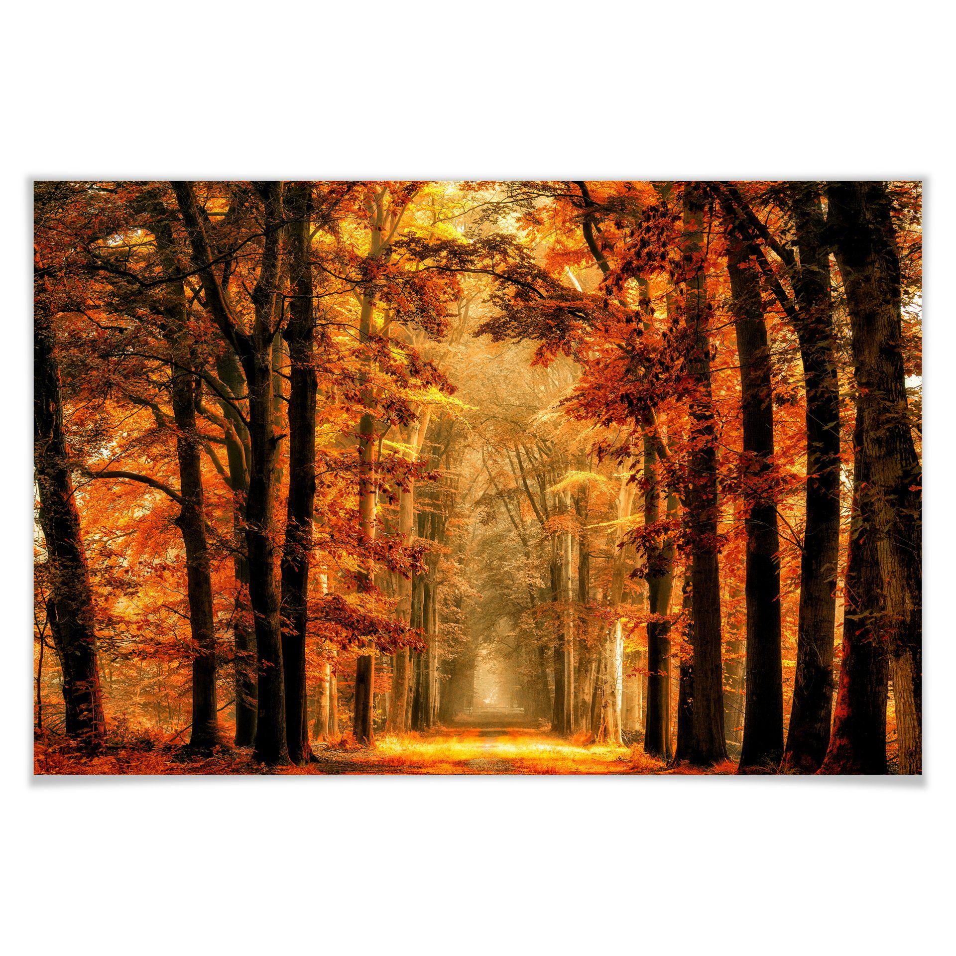 Poster van de Goor - Herfst