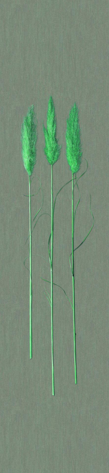  Non-woven tapet Naturlig Opulens Beige Grafisk 3,30 x 0,70 cm