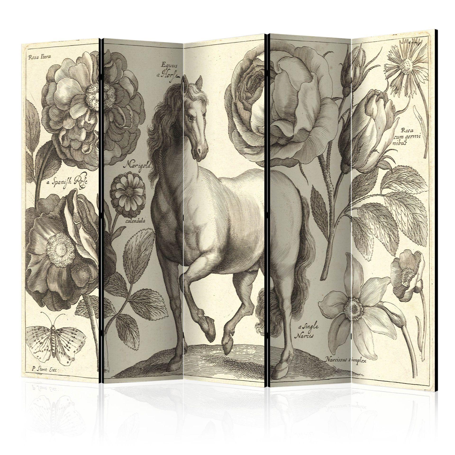 Screen room divider - Hest, 5-delt - 225x172 cm