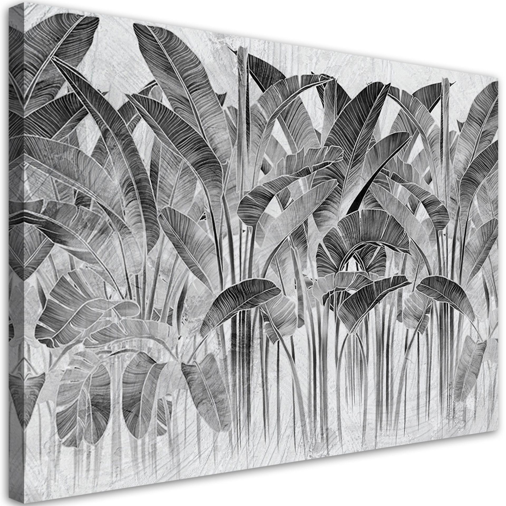 Canvasbillede, Grå bananblade