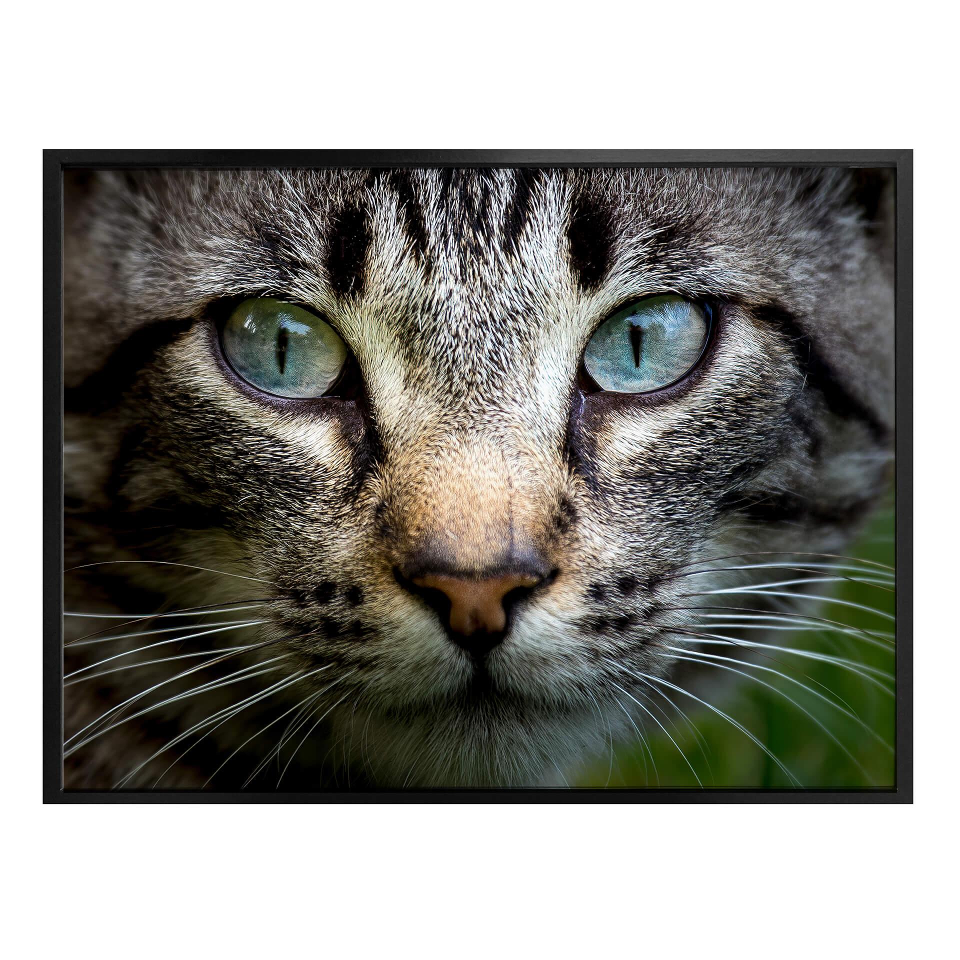 Plakat - Cuadrado - In your eyes