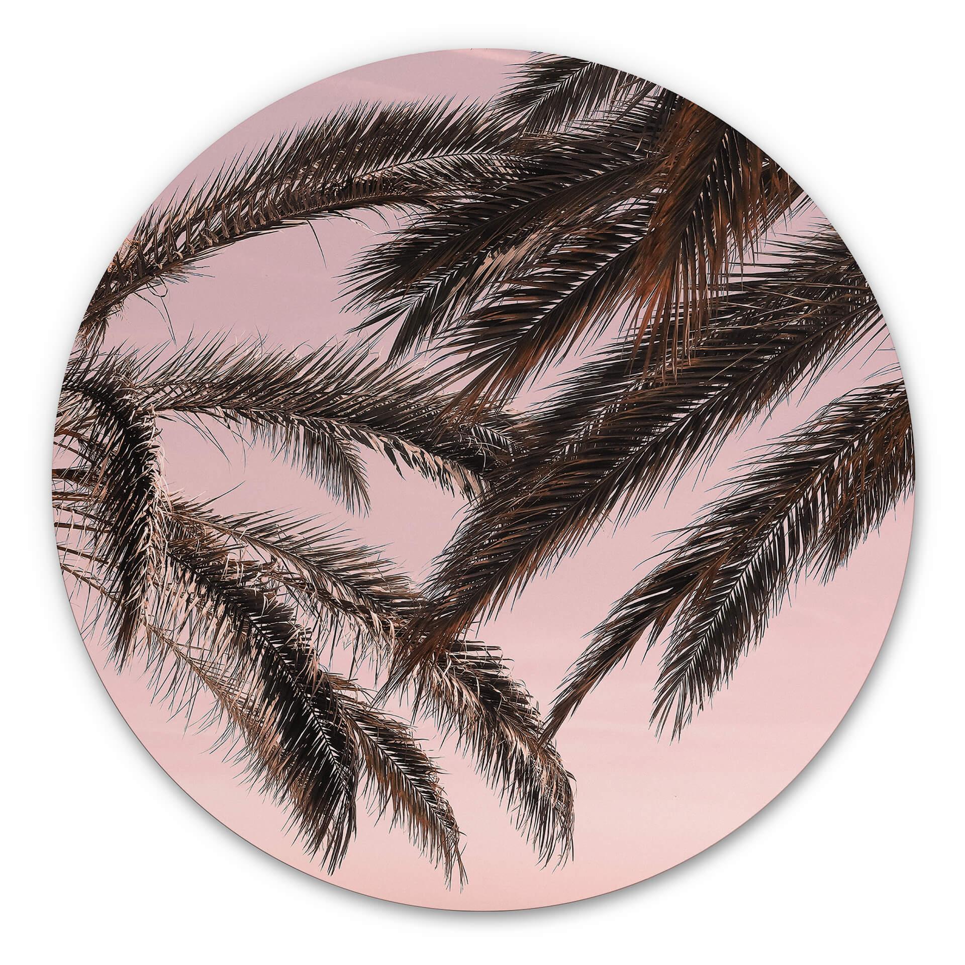 Tableau sur alu-Dibond rond 1X Studio - Palmiers