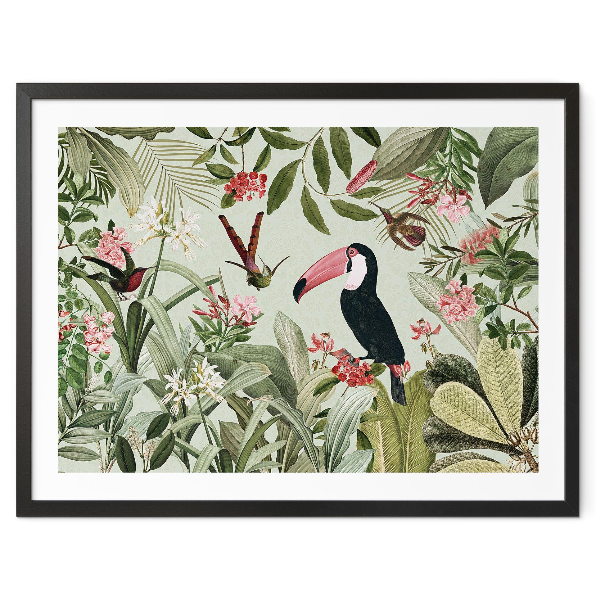 Plakat Tukan i et jungleparadis - UN Designs