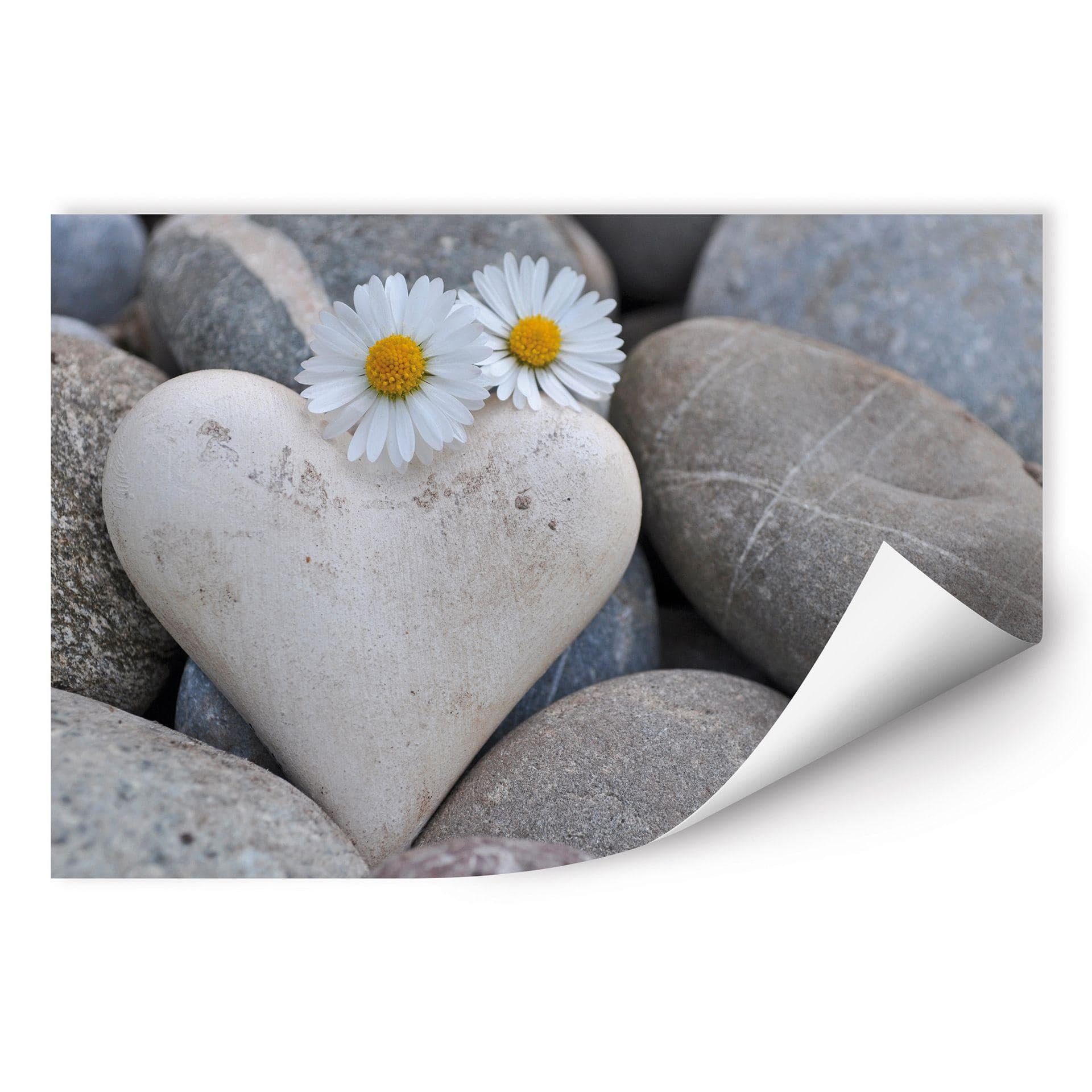 Poster autocollant - W - Fleurs d'Amour