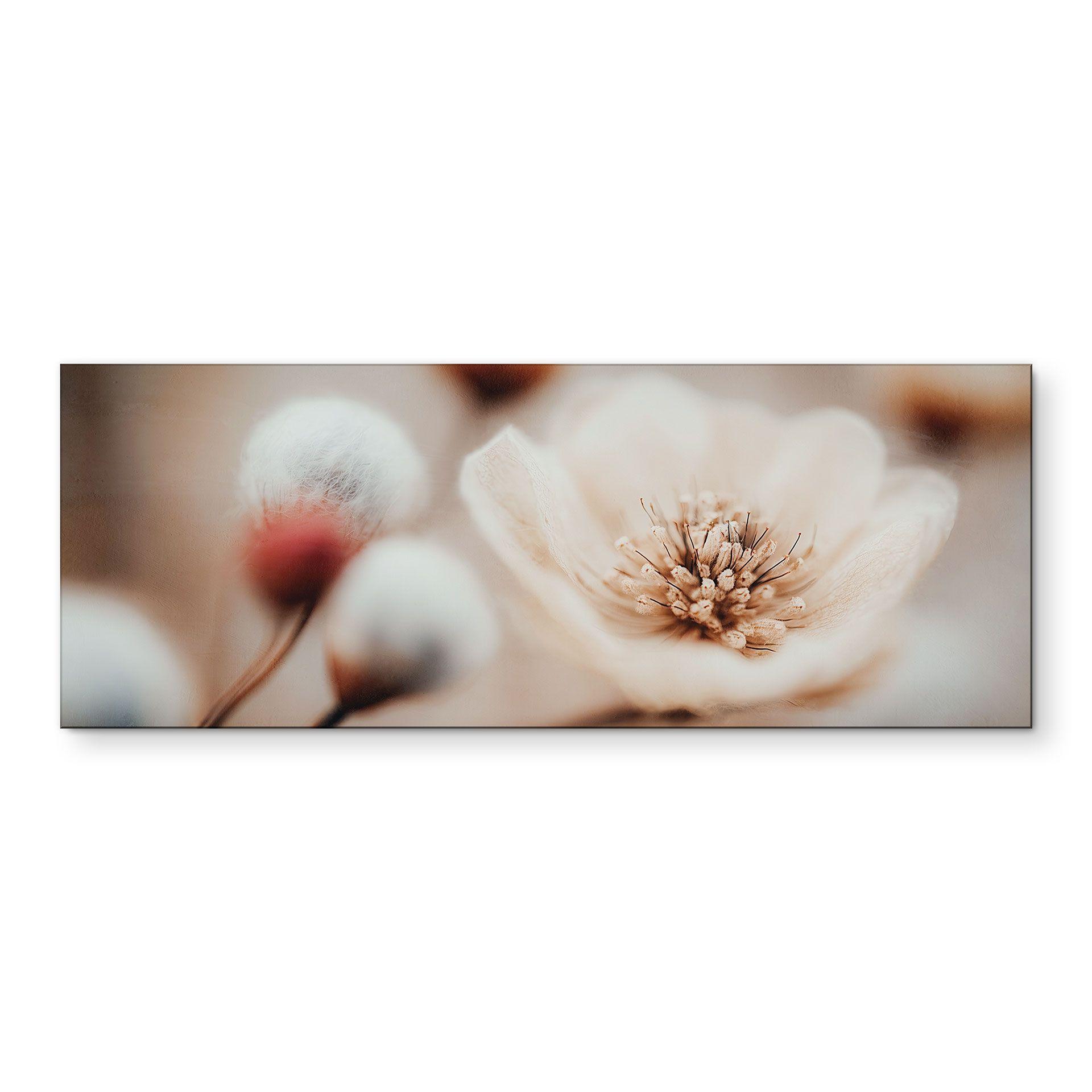 Billede Boho Blossom Soft Beige - Treechild panorama – print på aluminium