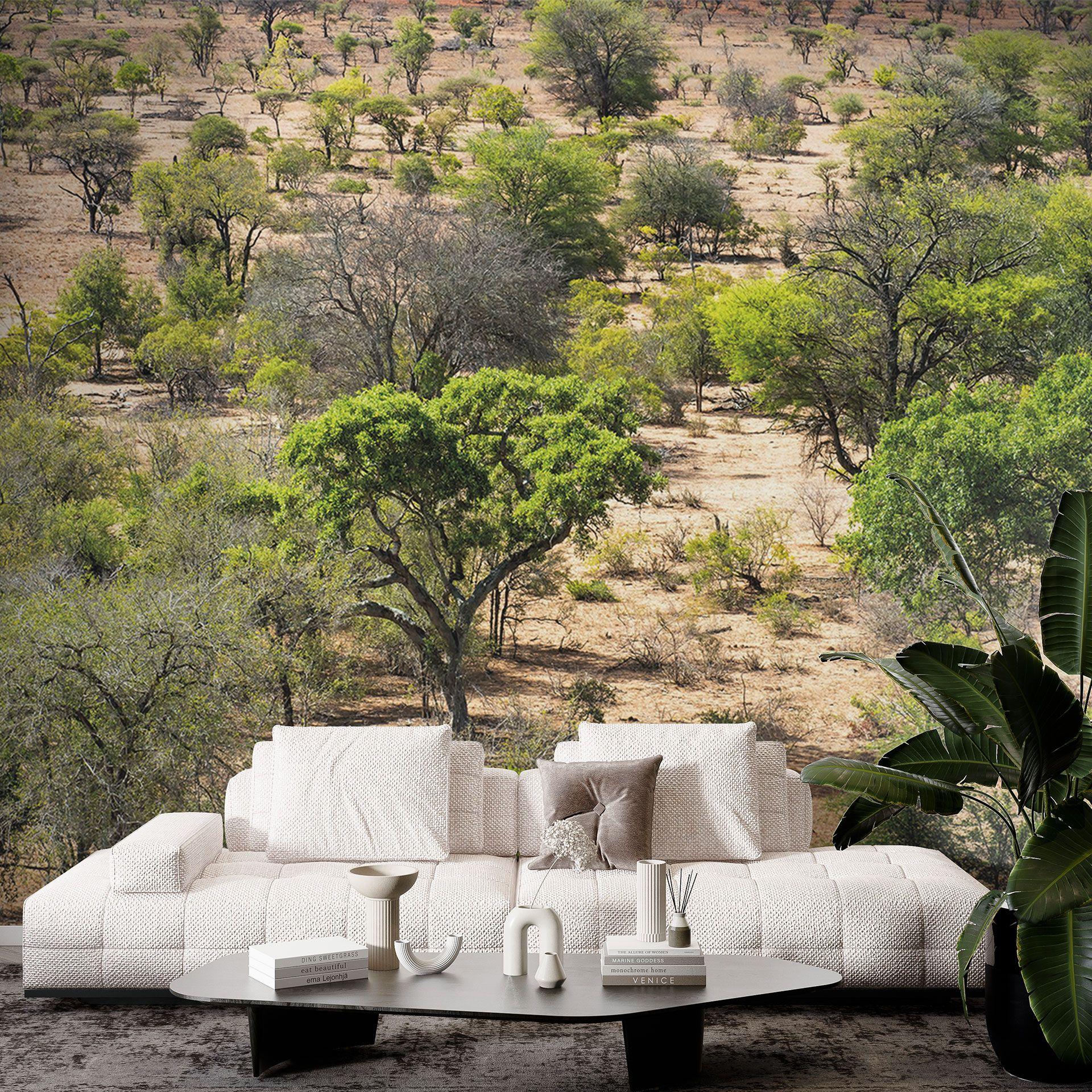 Afrikaanse savanne landschap Fotobehang - Hugonnard