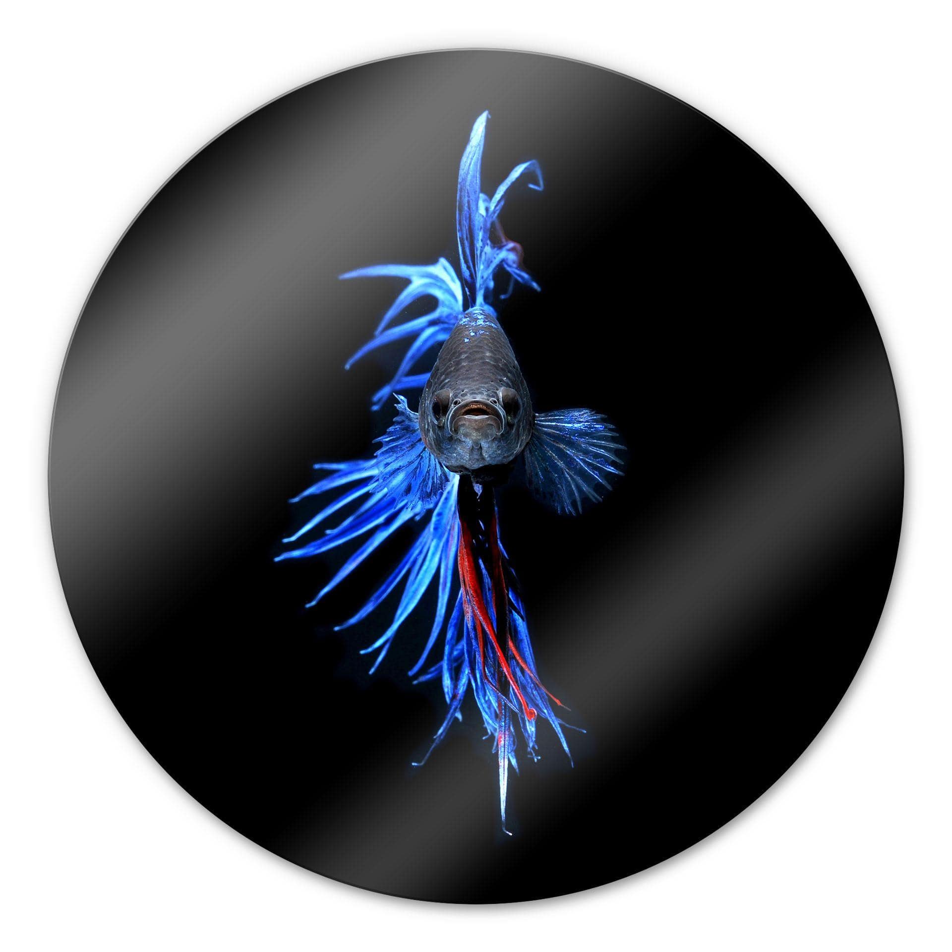 Tableau en verre - Poisson Fluo -rond