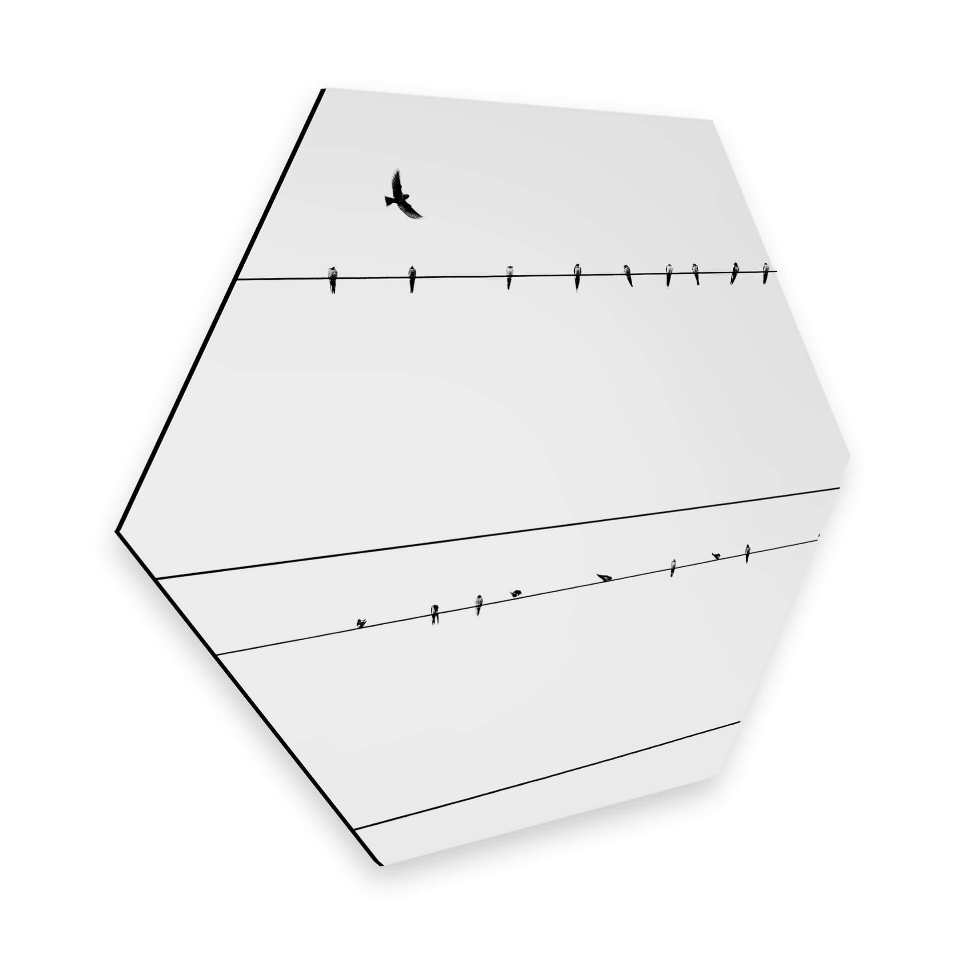 Hexagon - Alu-Dibond - High Voltage