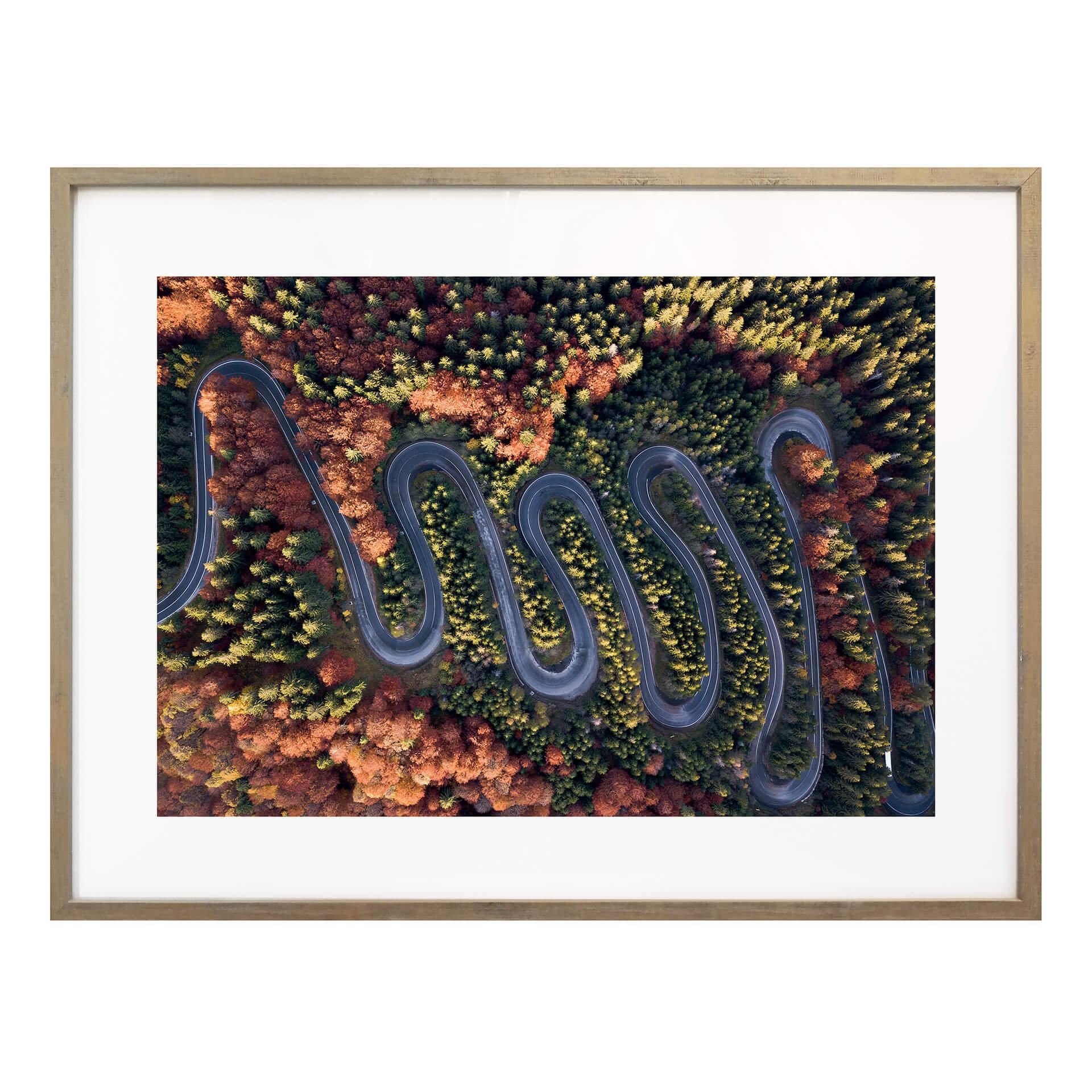 Póster Amer - La vista desde arriba: Curvas en el bosque