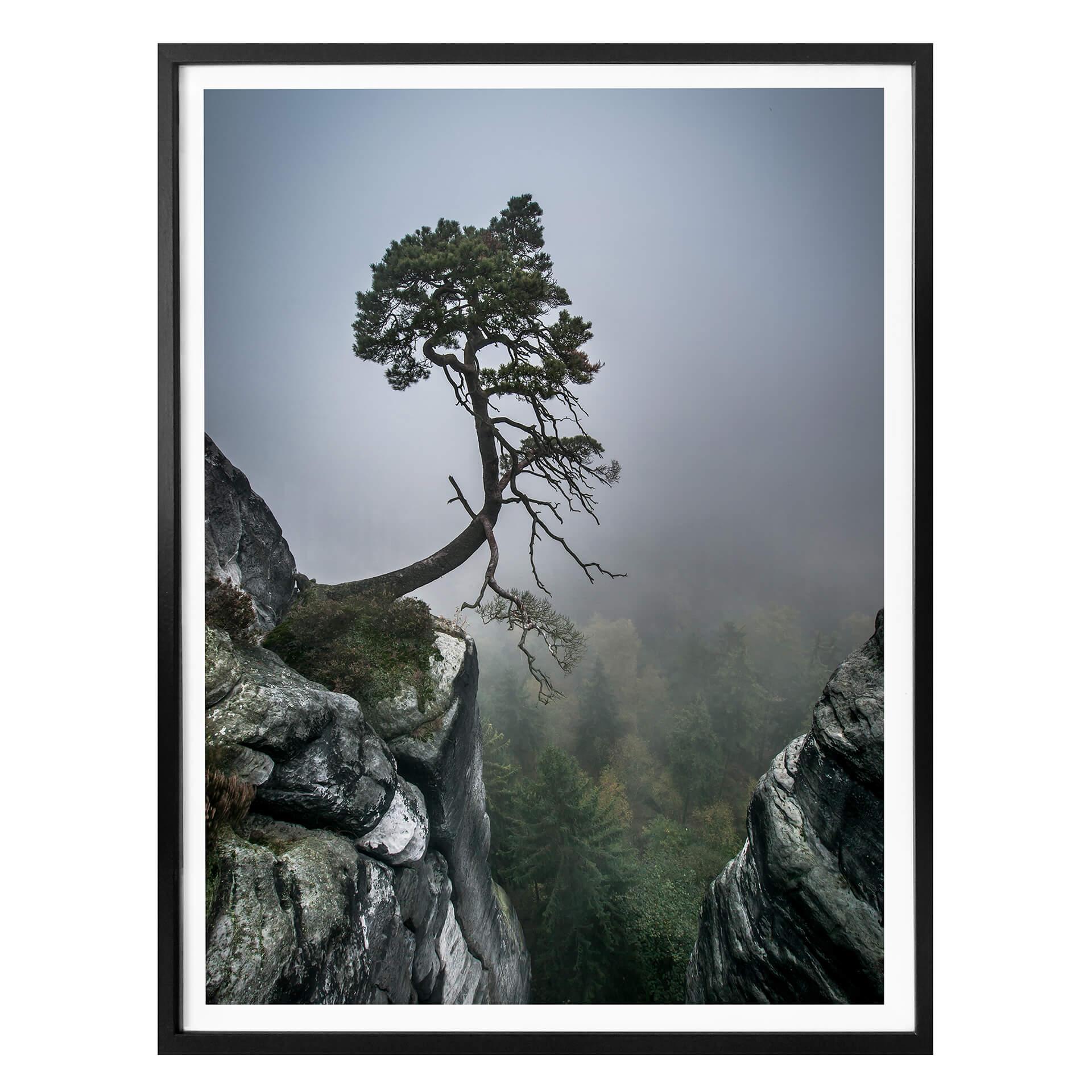 Póster Wonisch - Fuerzas de la naturaleza