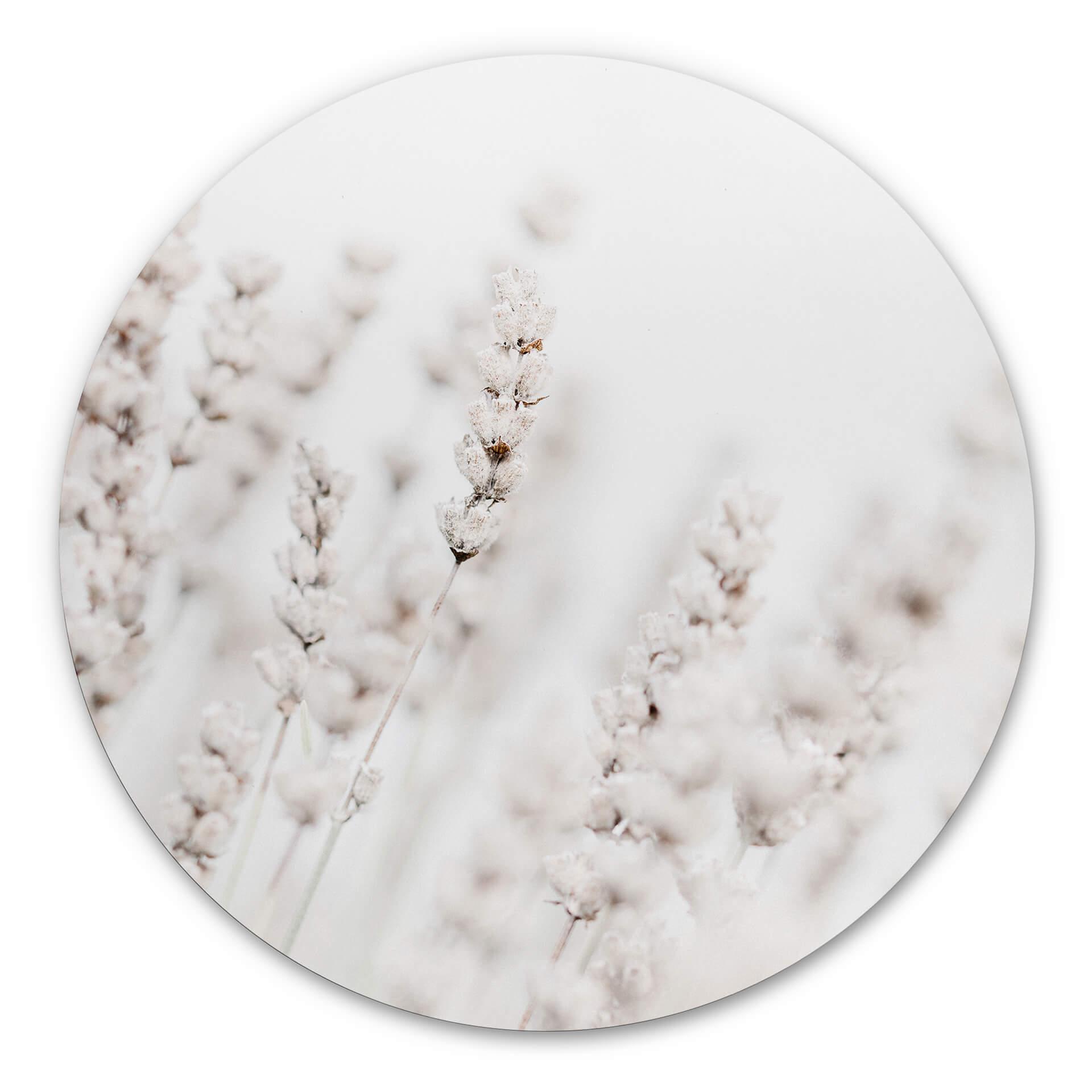 Tableau sur alu-Dibond rond 1X Studio - Herbes fines