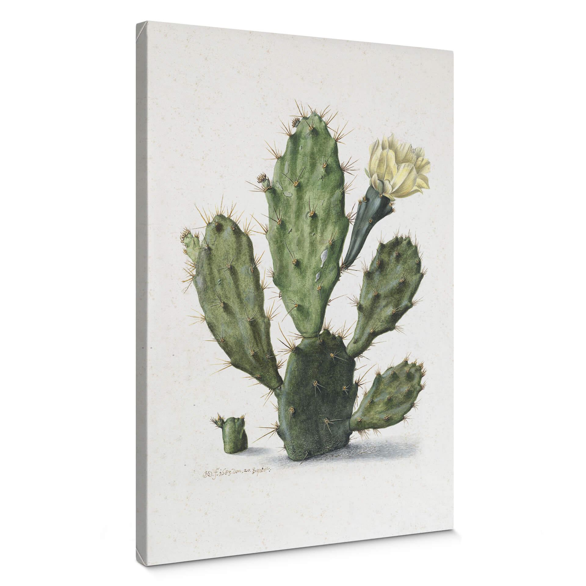 Lienzo Saftleven - Cactus