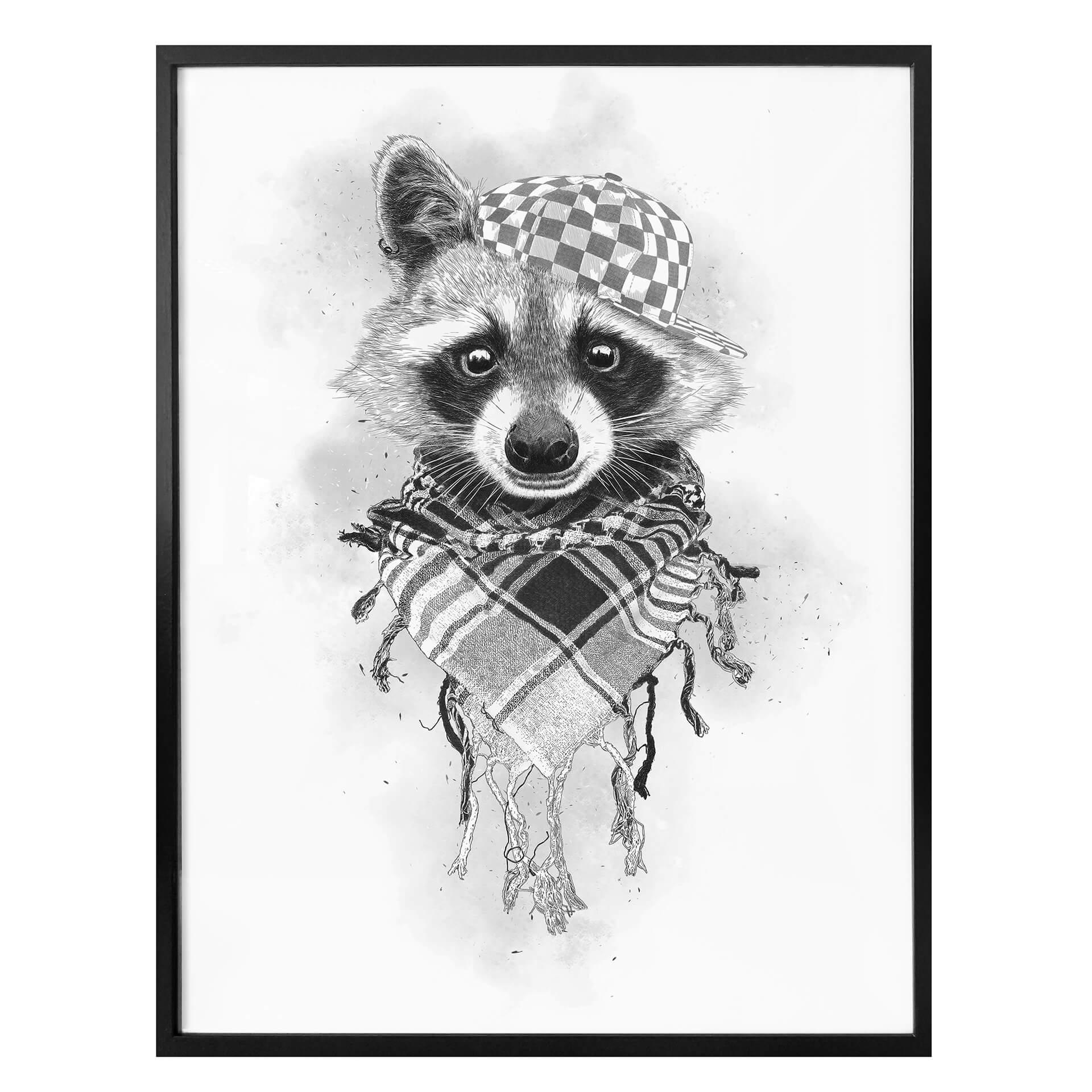 Póster Kools - Mapache Rocco