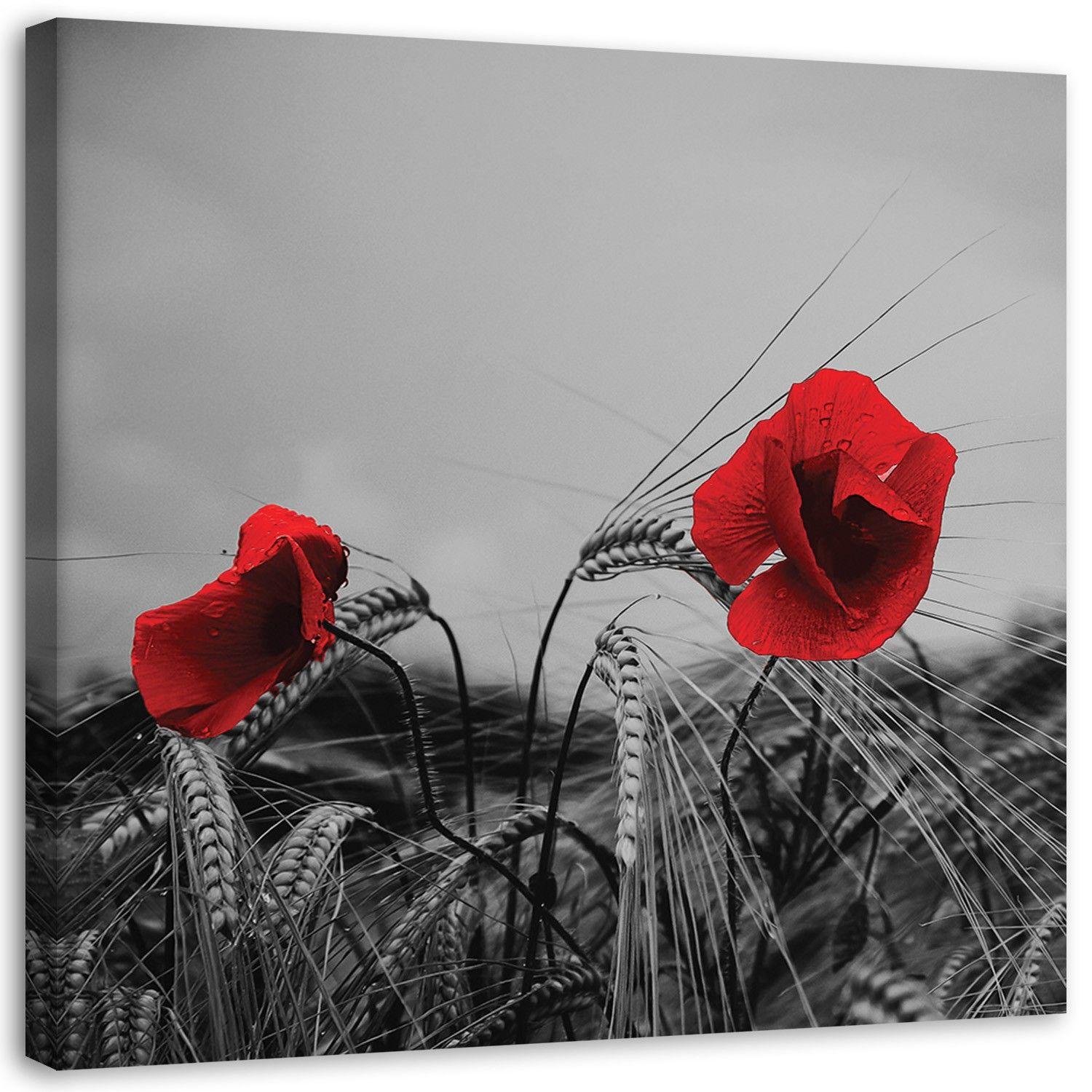 Canvasbillede, Røde valmuer