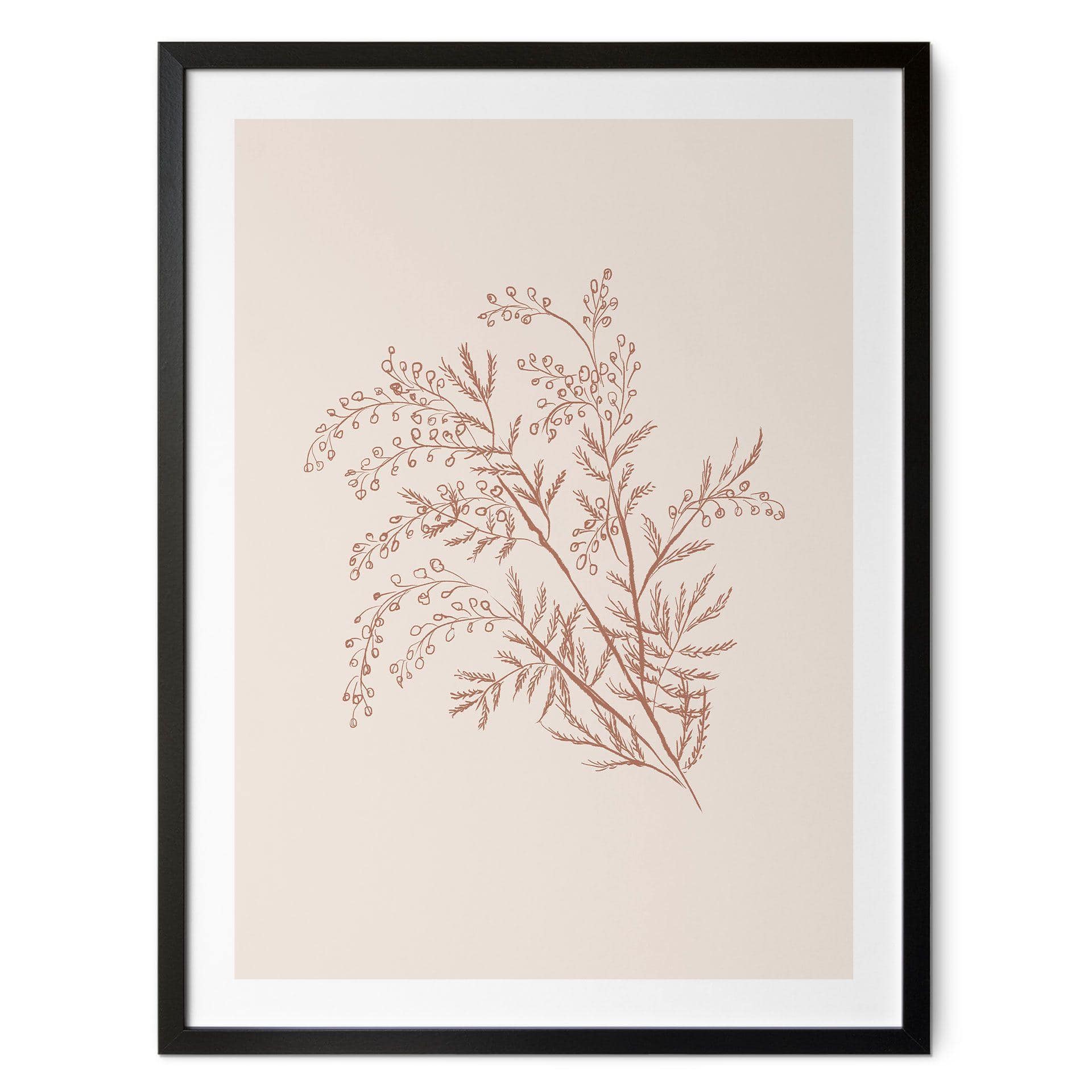 Póster Rama de acacia en colores moca - Ilustración de anís
