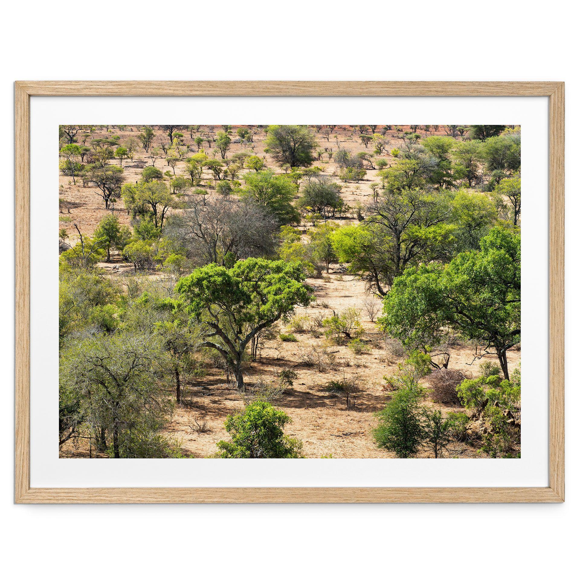 Póster Paisaje de sabana en África - Hugonnard