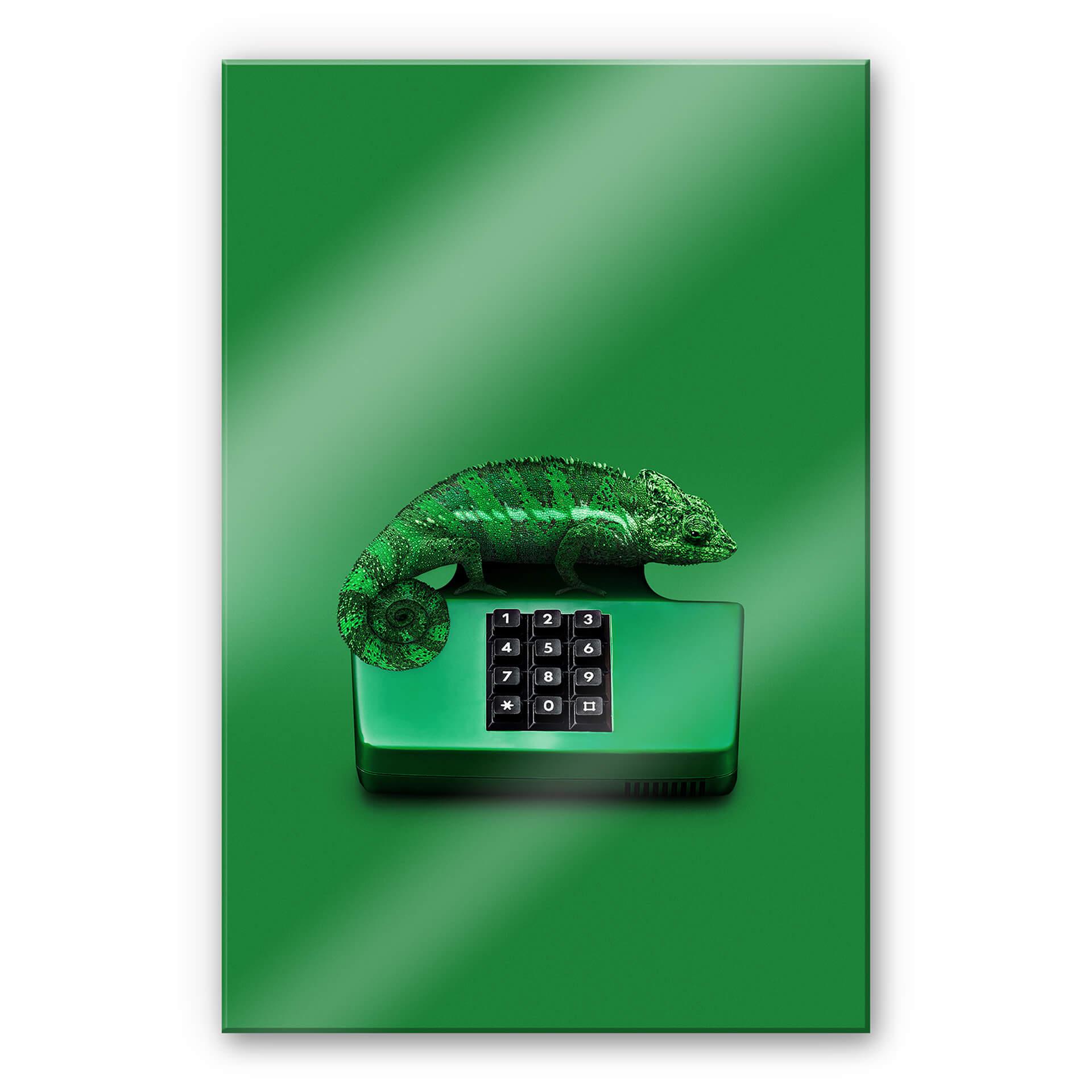 Akrylbillede løs - Chamelephone