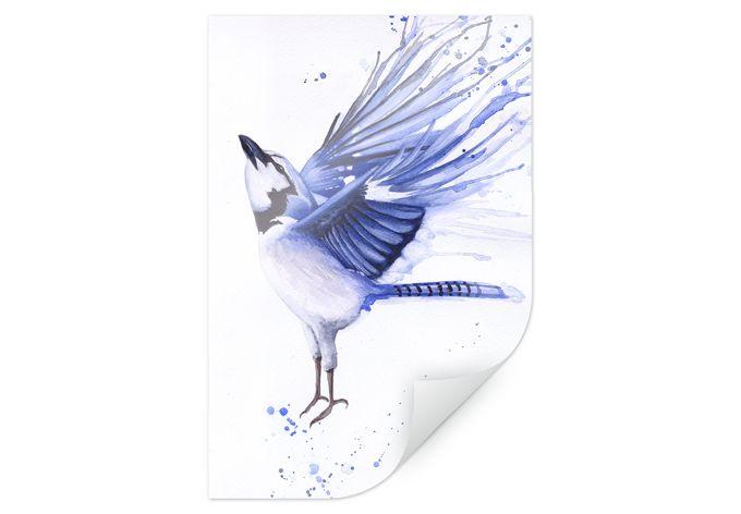 Póster Müller - Herrerillo común