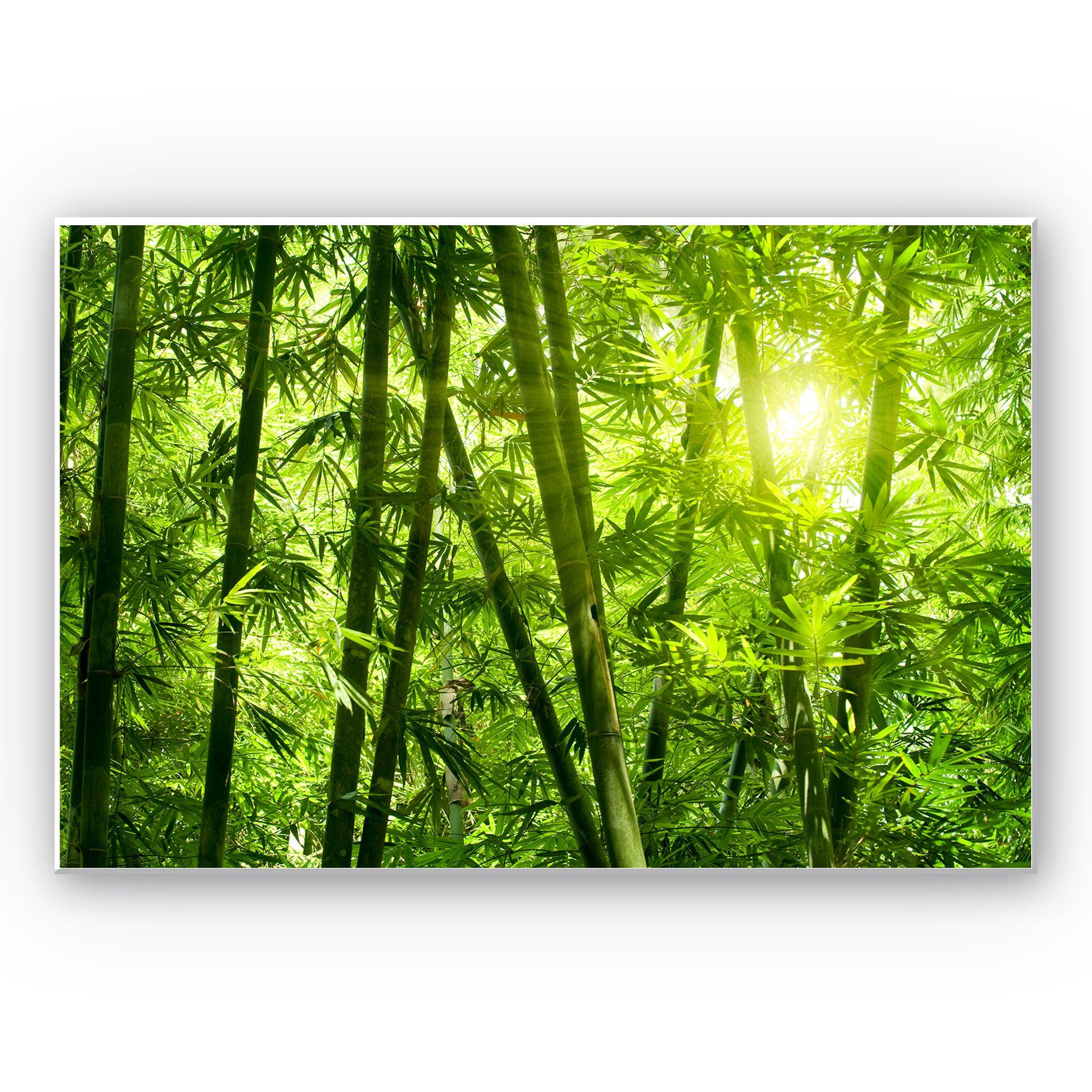 Tableau Forex - Rayon de soleil dan la forêt de bambous