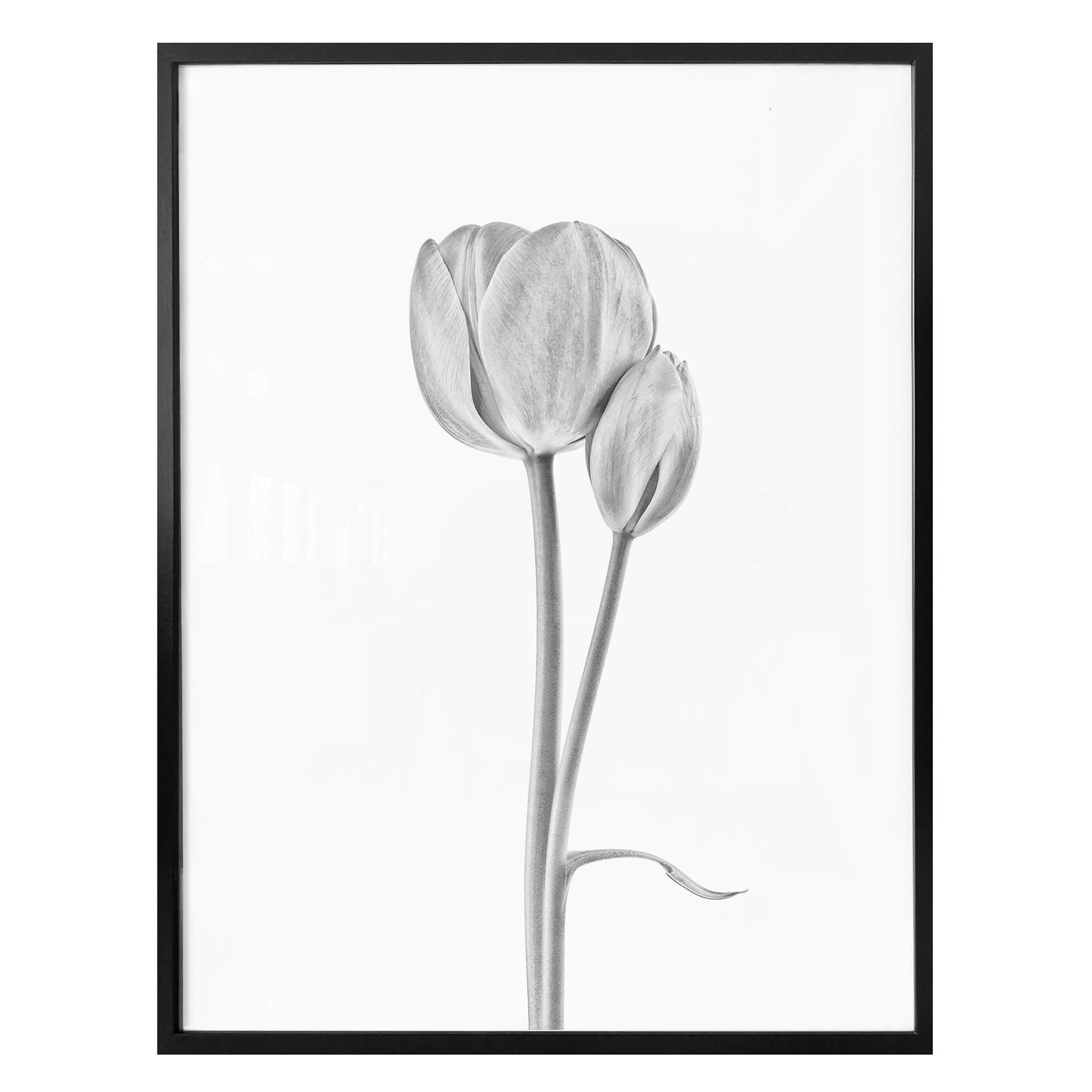 Póster Grønkjær - Tulipanes